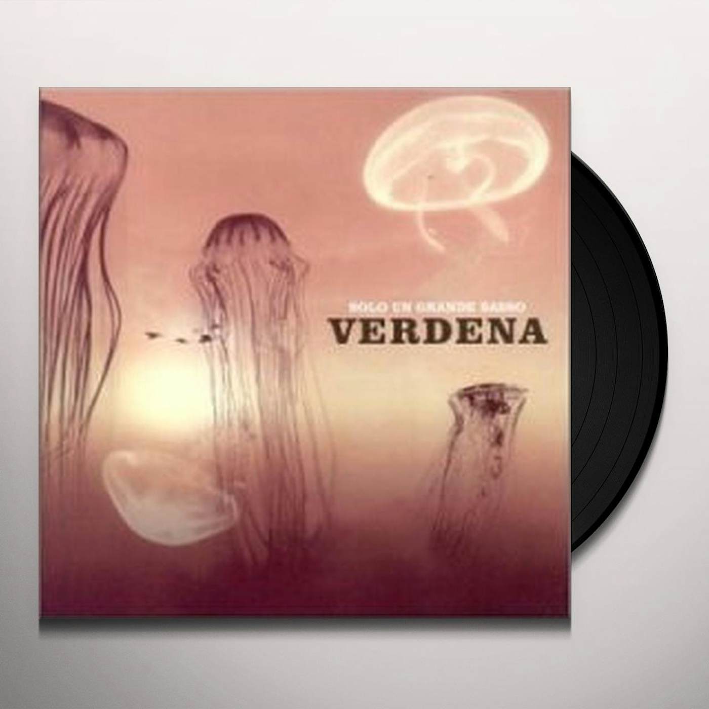Verdena Solo un grande sasso Vinyl Record
