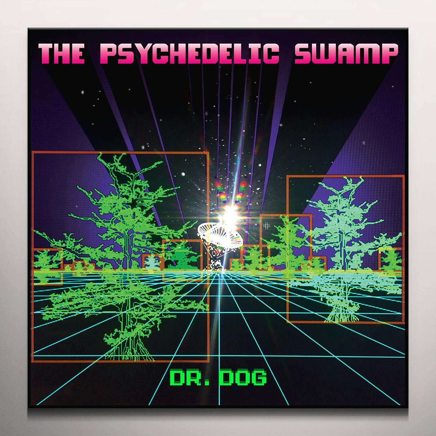 Dr. Dog PSYCHEDELIC SWAMP Vinyl Record