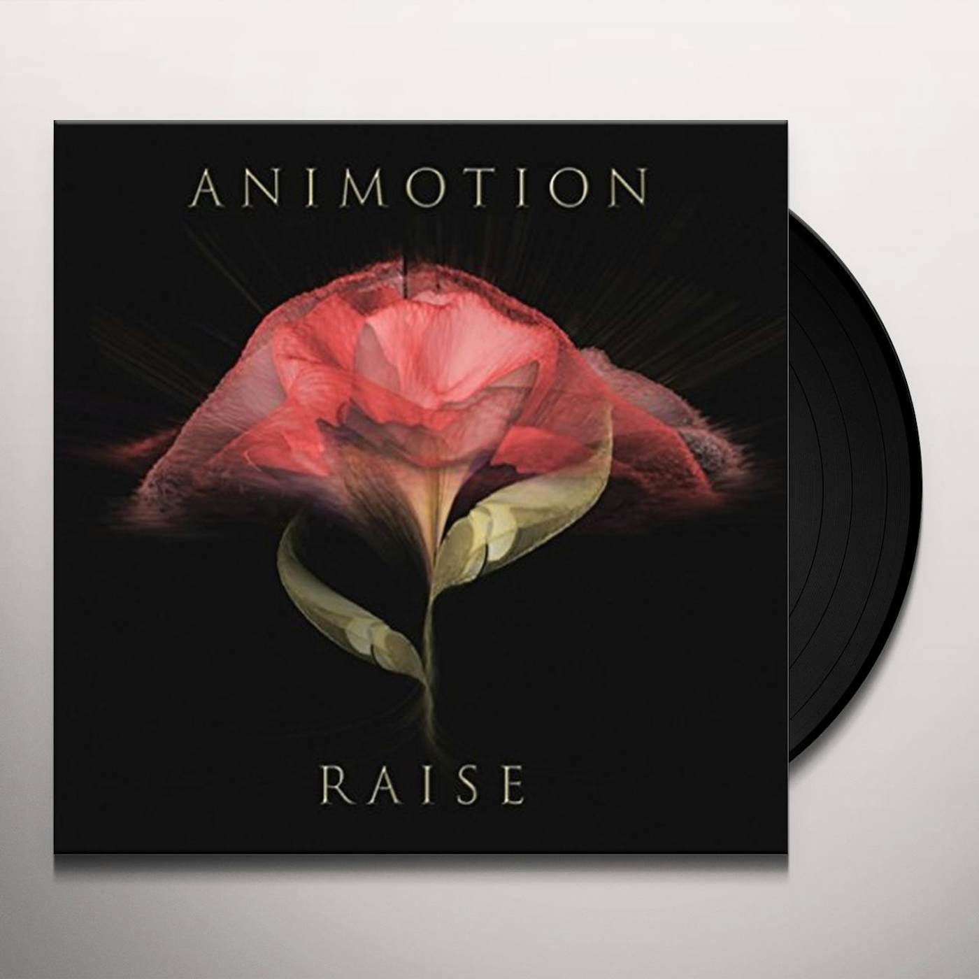 Animotion RAISE YOUR EXPECTATIONS Vinyl Record