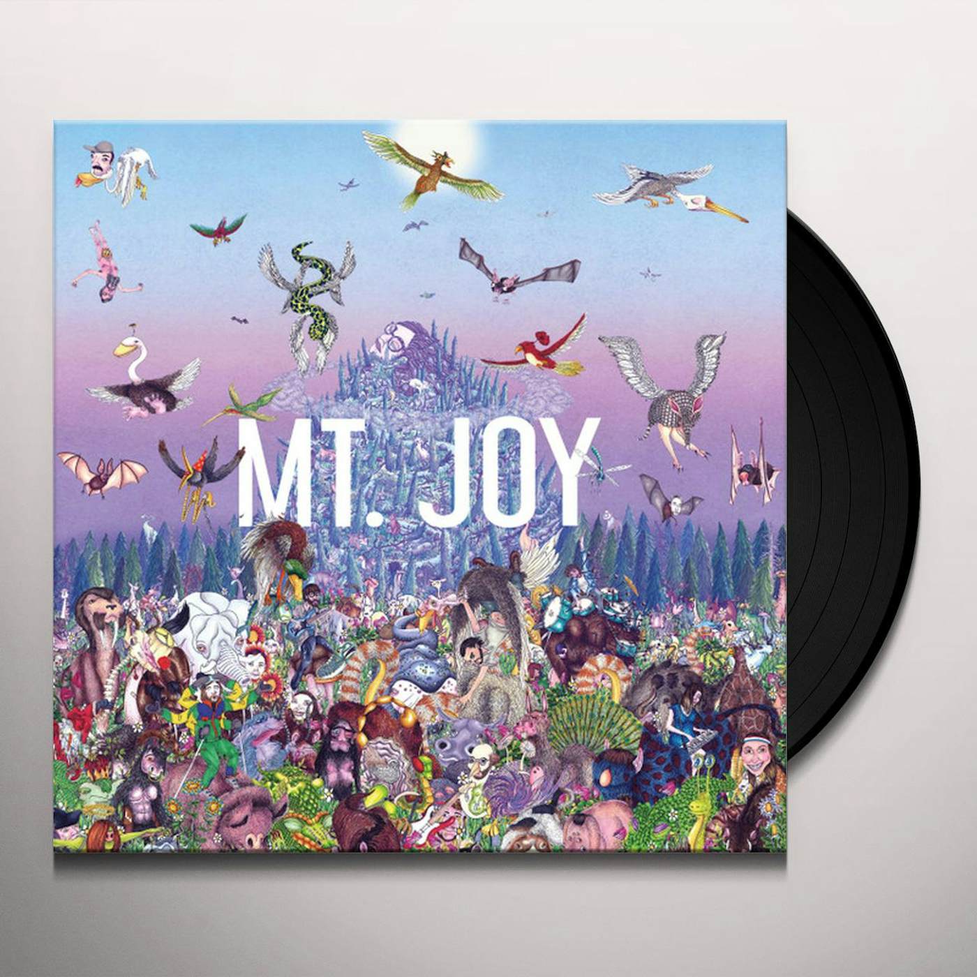 Mt. Joy Rearrange Us Vinyl Record