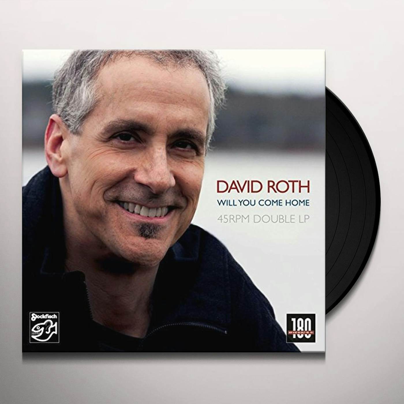 David Roth Will You Come Home Vinyl Record
