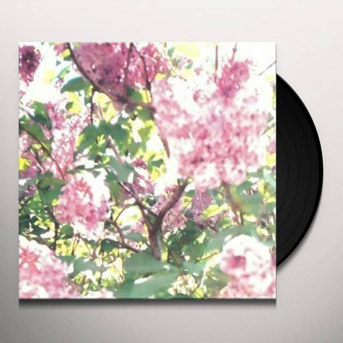Actual Water PAISLEY ORCHARD Vinyl Record
