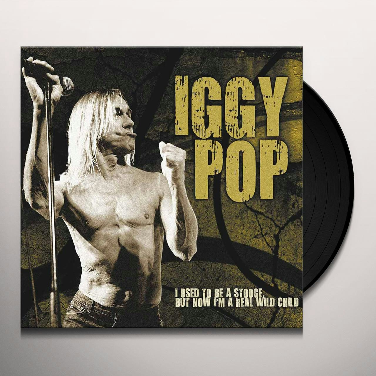 iggy pop i want be your dog