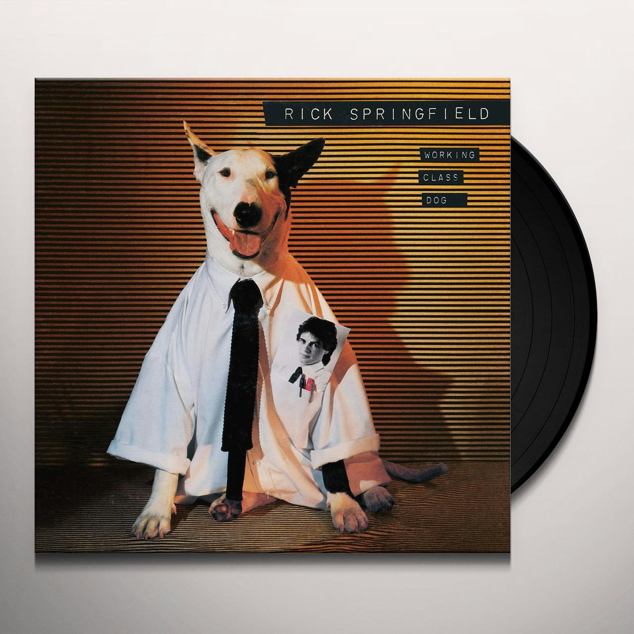 Класс dog. Rick Springfield 1981 working class Dog. Working class Dog.