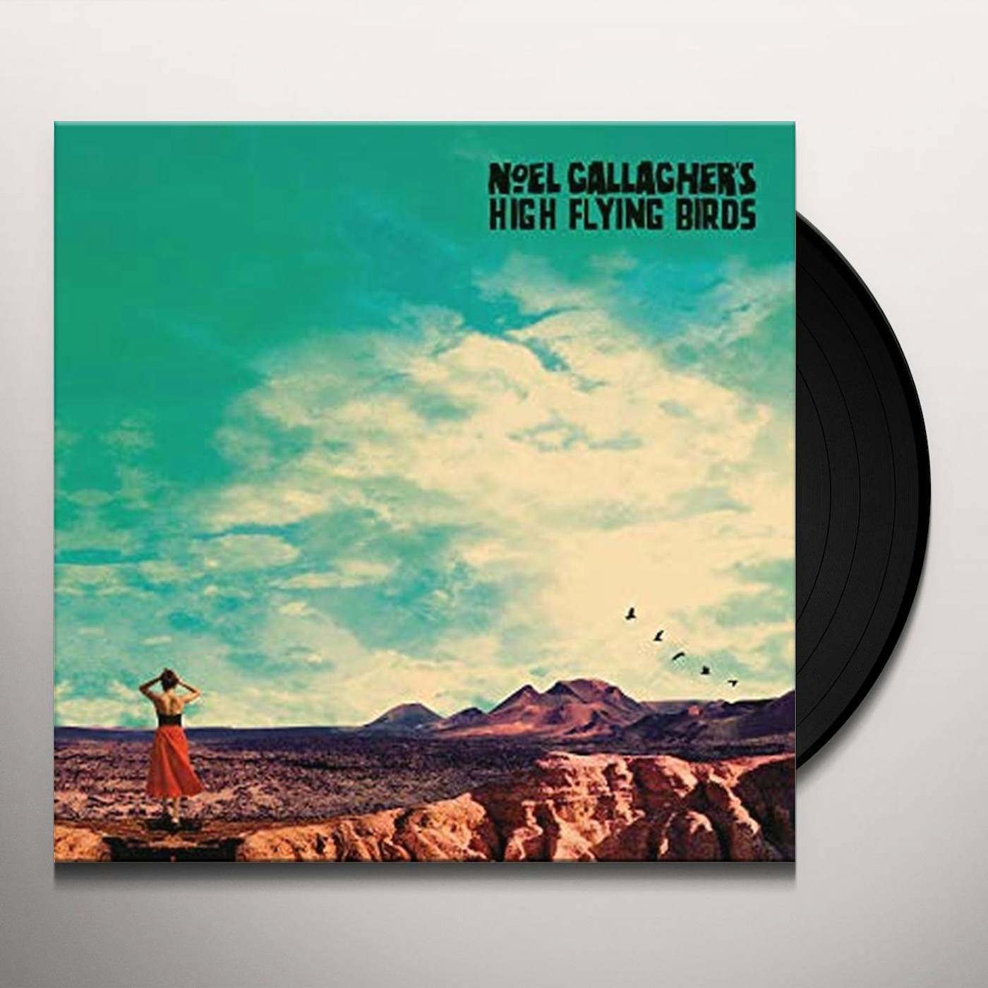 Noel Gallagher's high flying birds Vinyl Record