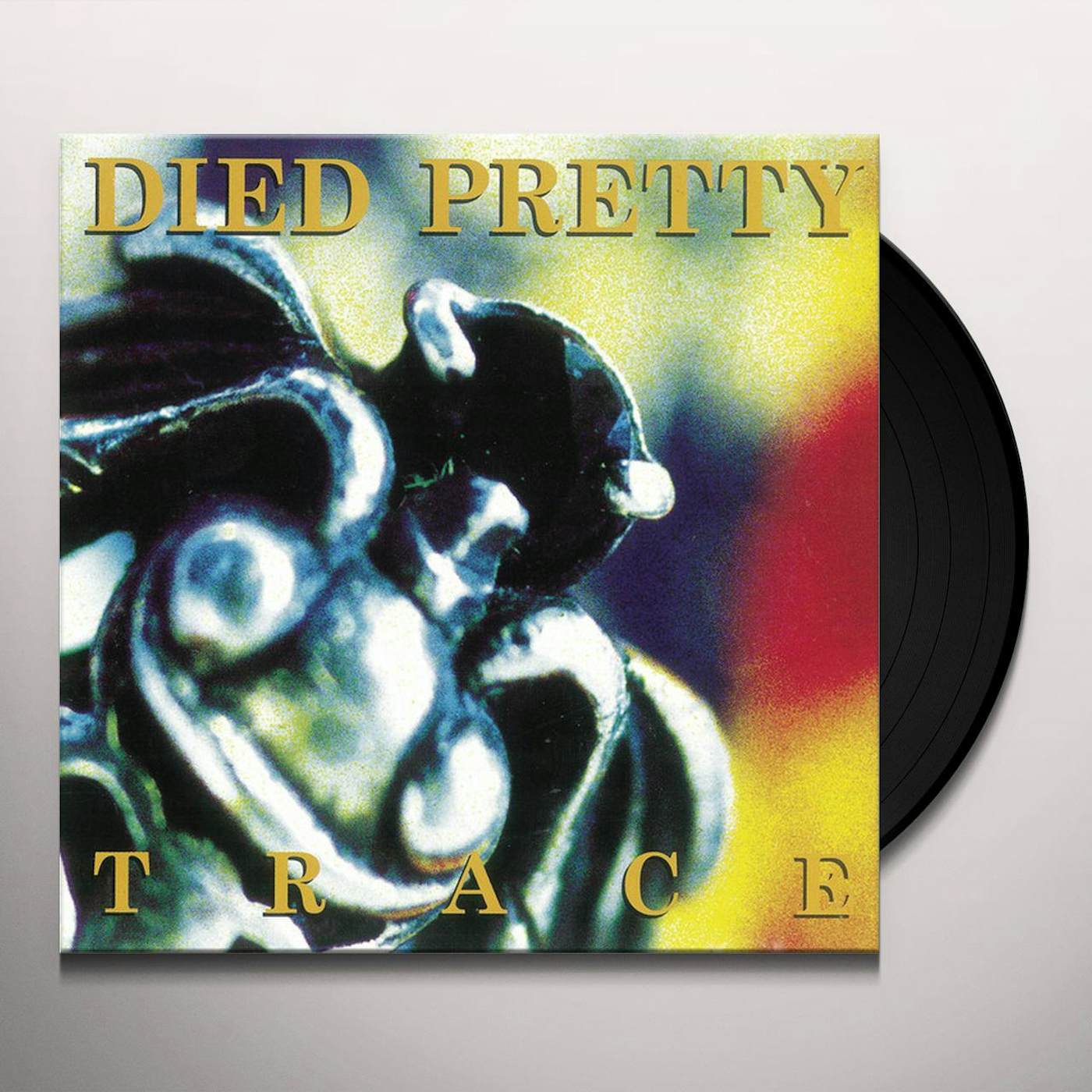 Died Pretty Trace Vinyl Record