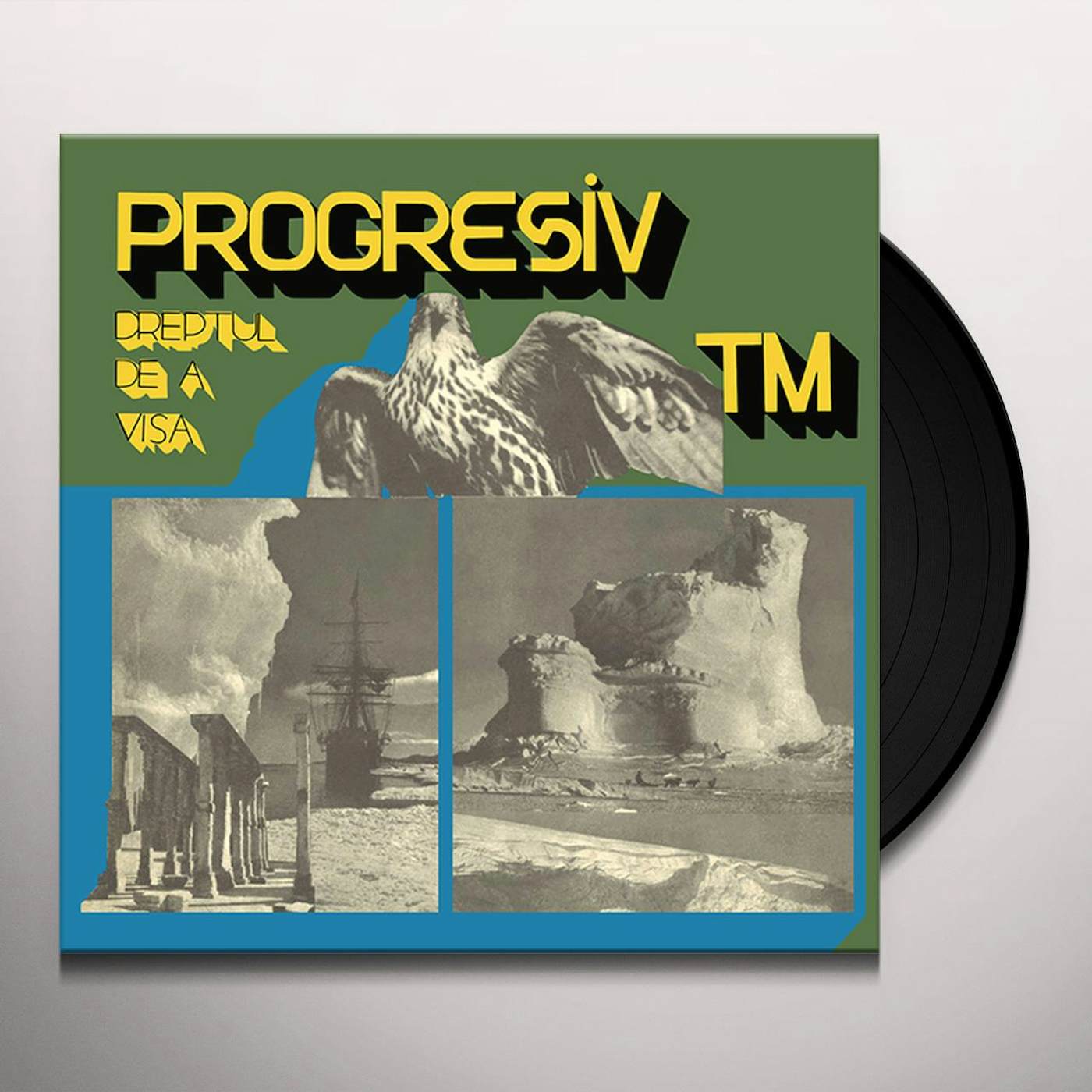 PROGRESIV TM Dreptul De A Visa Vinyl Record
