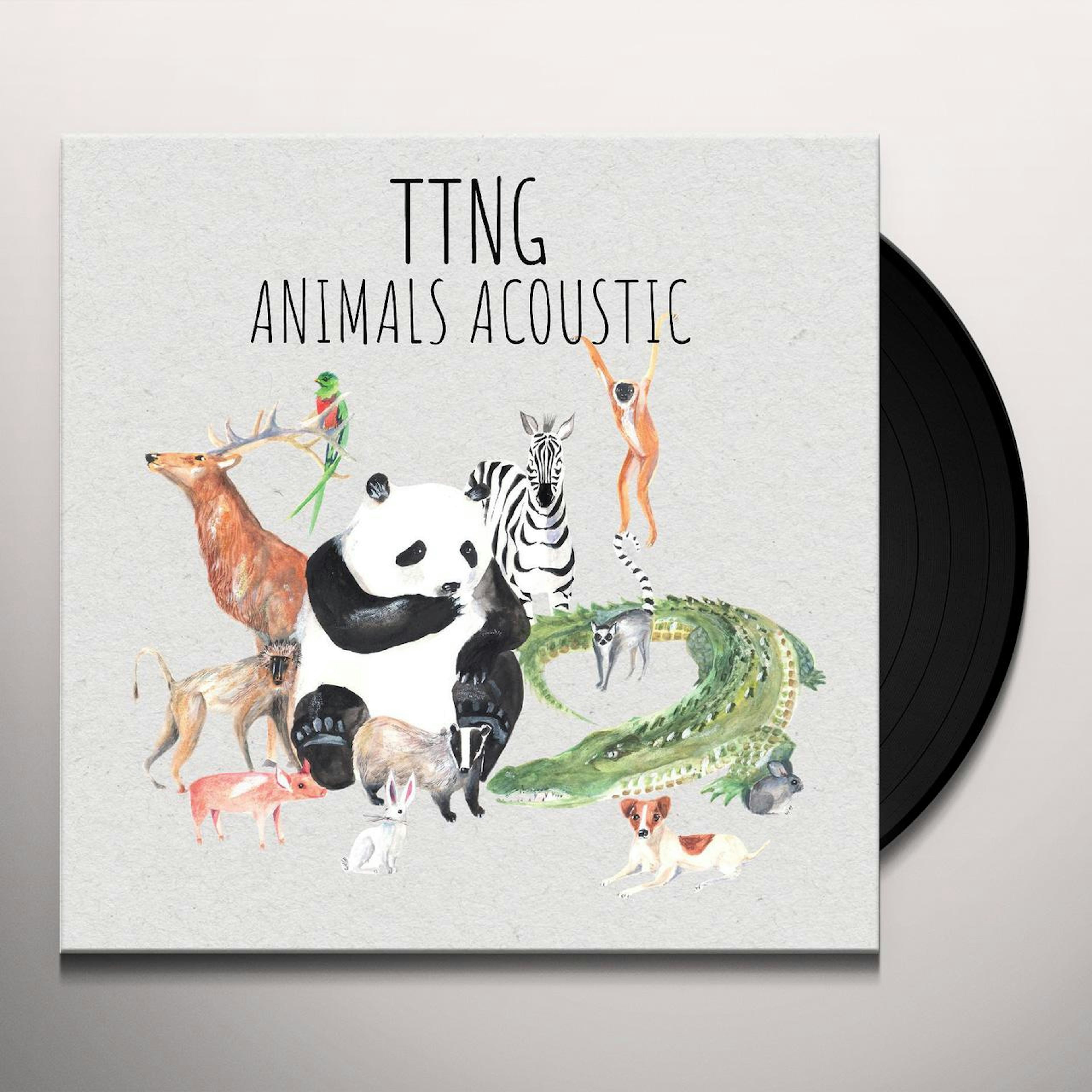 TTNG ANIMALS ACOUSTIC Vinyl Record