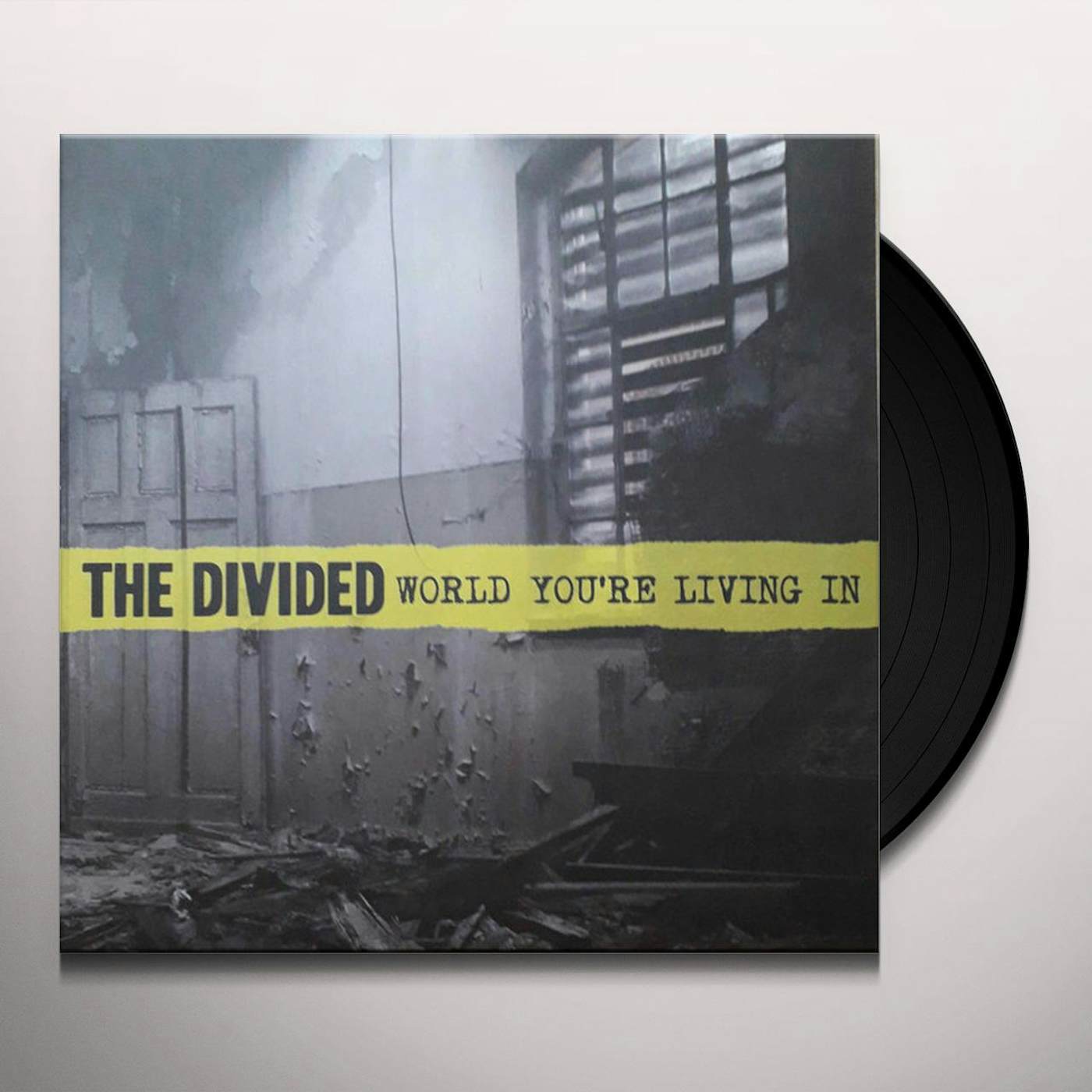 Divided World You're Living In Vinyl Record