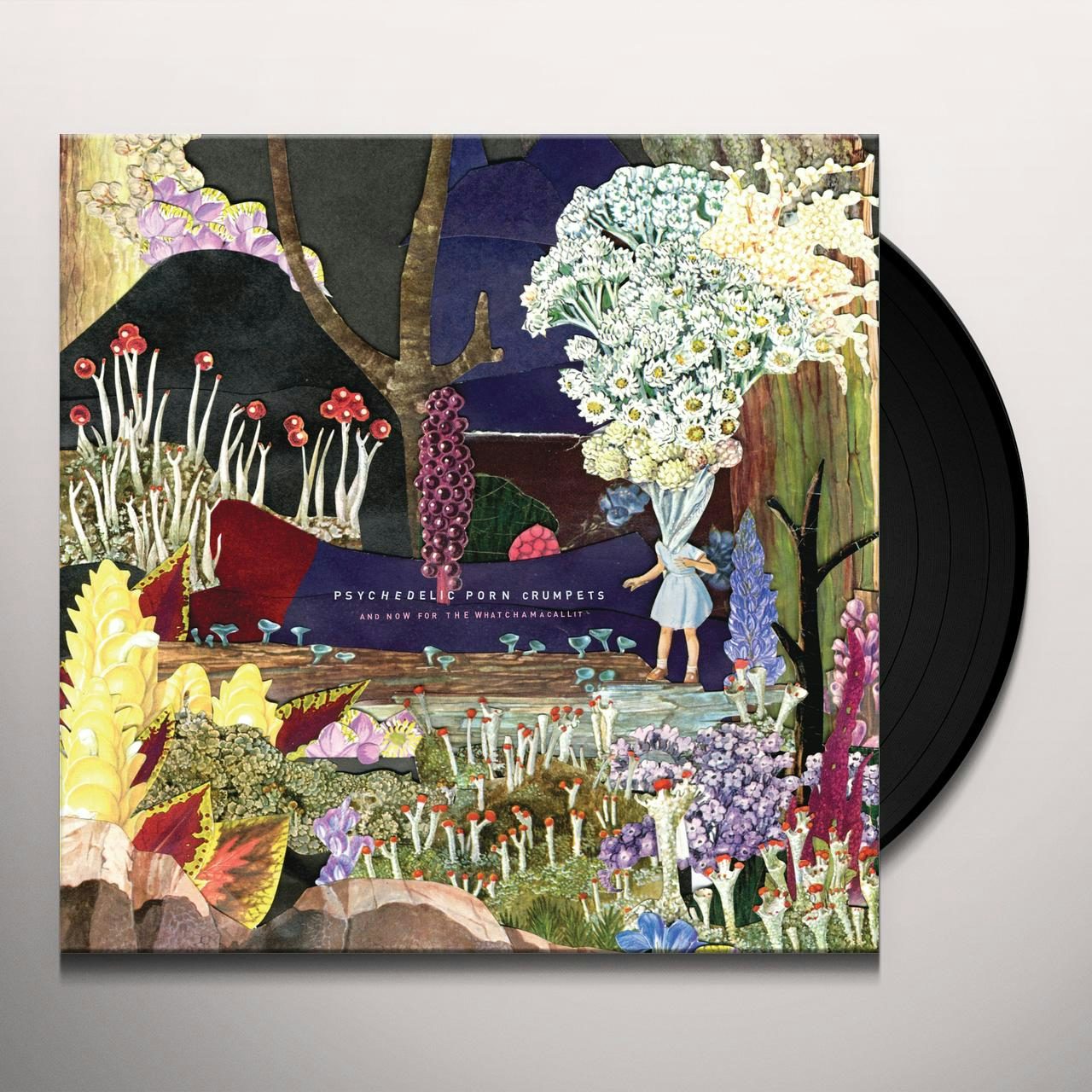 Psychedelic Porn Crumpets AND NOW FOR THE WHATCHAMACALLIT Vinyl Record
