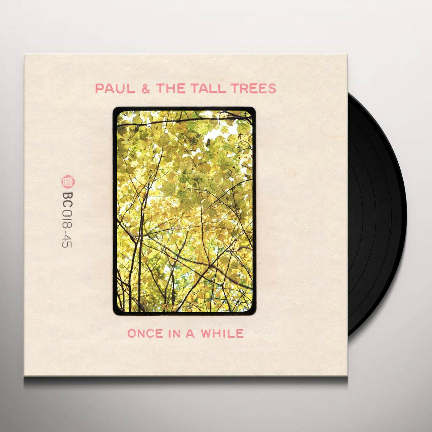 Paul & The Tall Trees LITTLE BIT OF SUNSHINE / ONCE IN A WHILE Vinyl Record