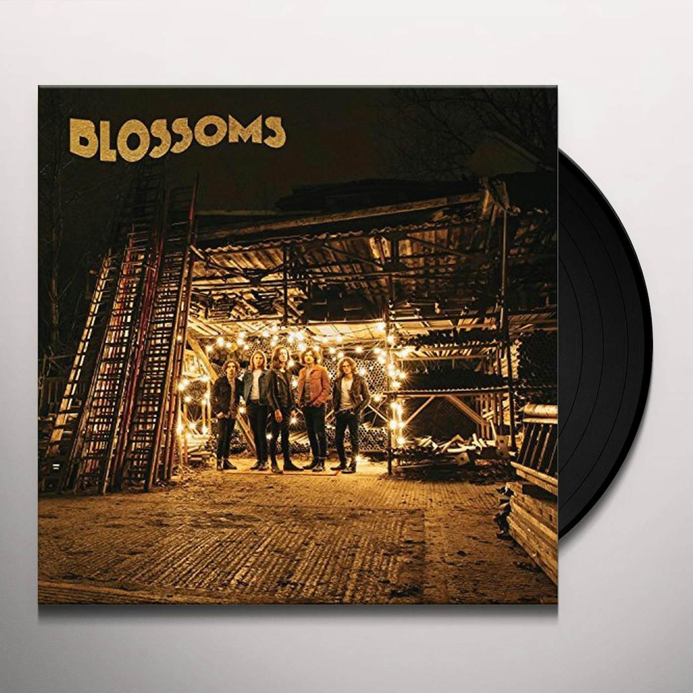 BLOSSOMS Vinyl Record - UK Release