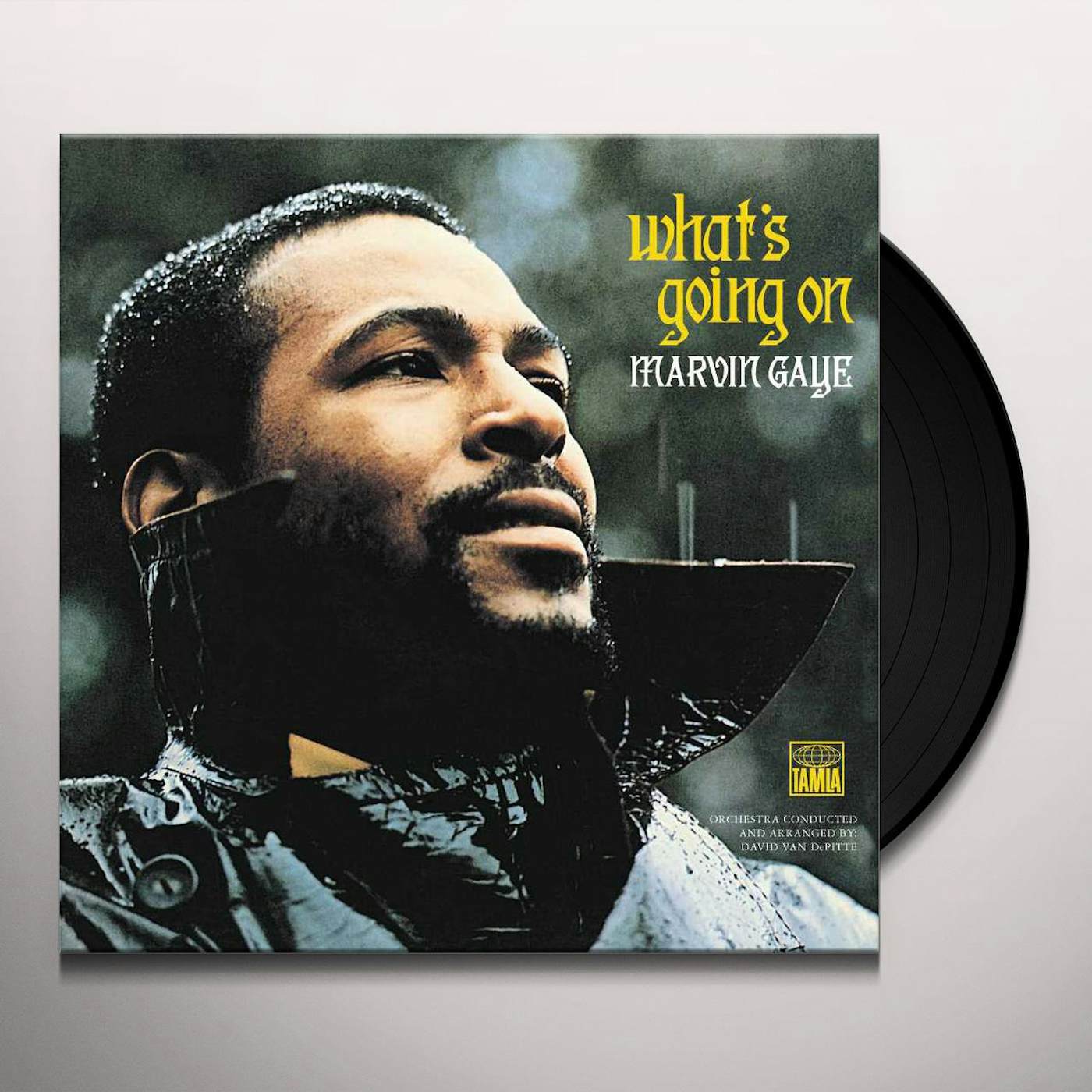 Marvin Gaye - Every Great Motown Hit of Marvin Gaye: 15 Spectacular  Performances (Vinyl LP) - Music Direct