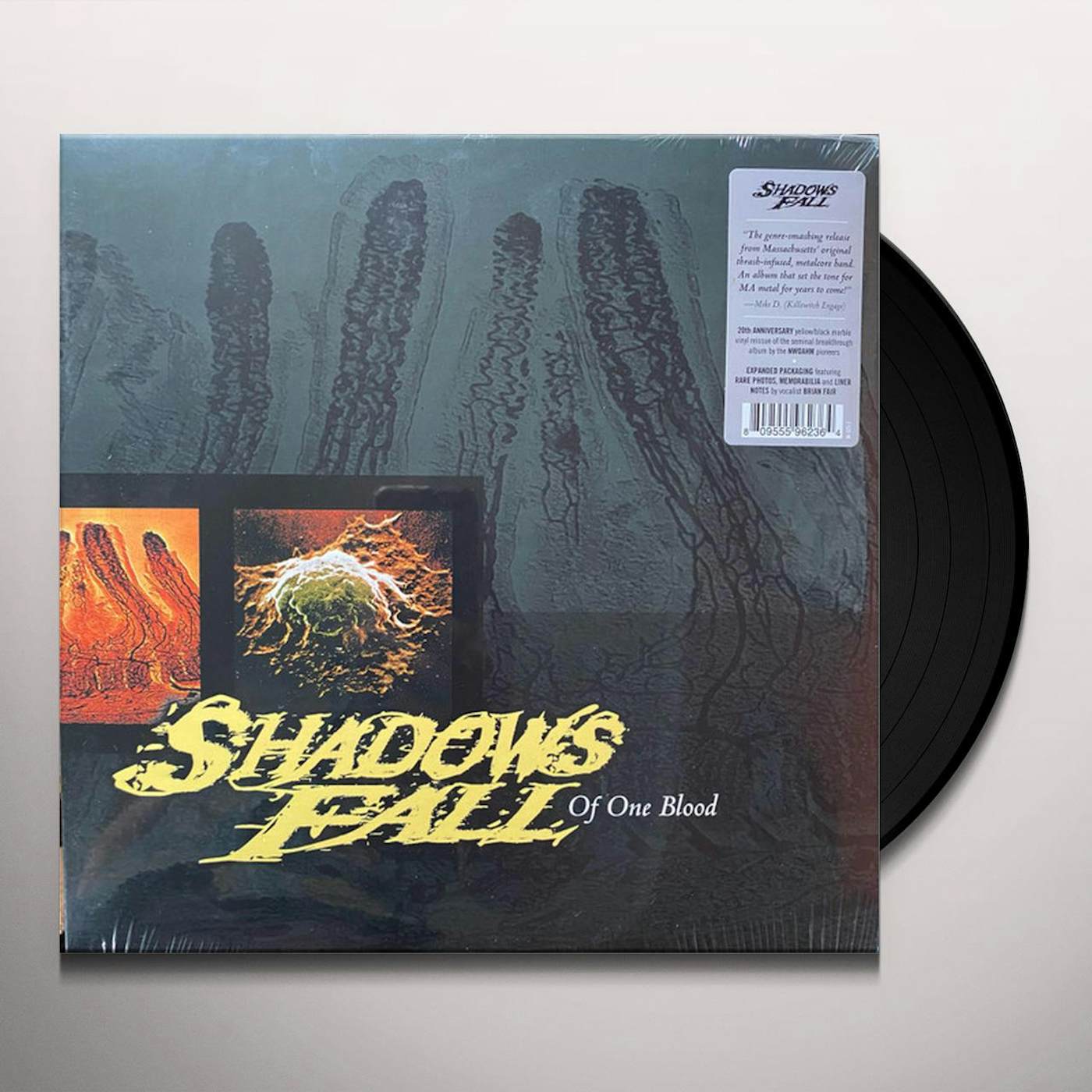 Shadows Fall Of One Blood Vinyl Record