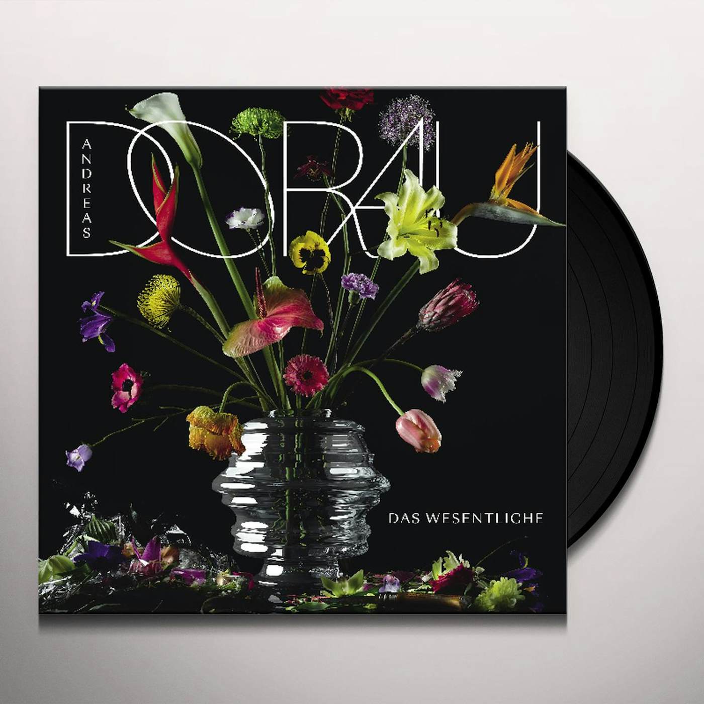Andreas Dorau Das Vinyl Record