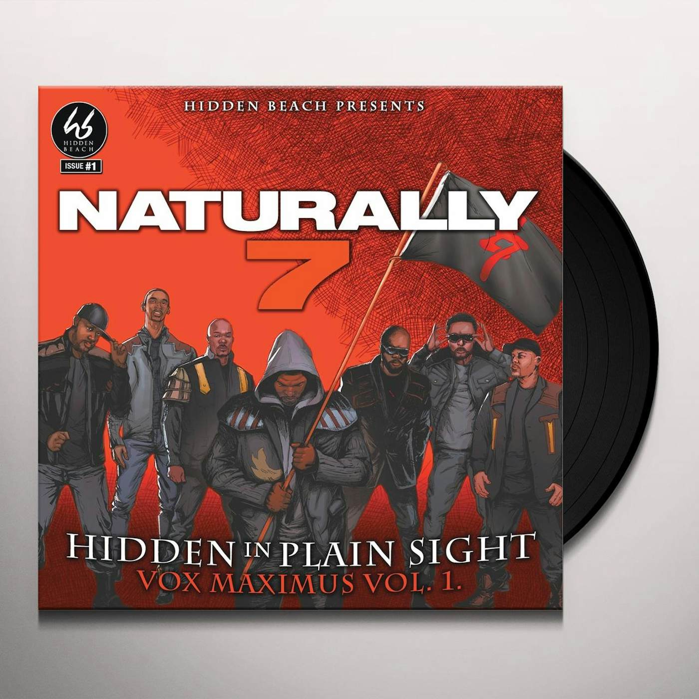 Naturally 7 Hidden In Plain Sight Vinyl Record