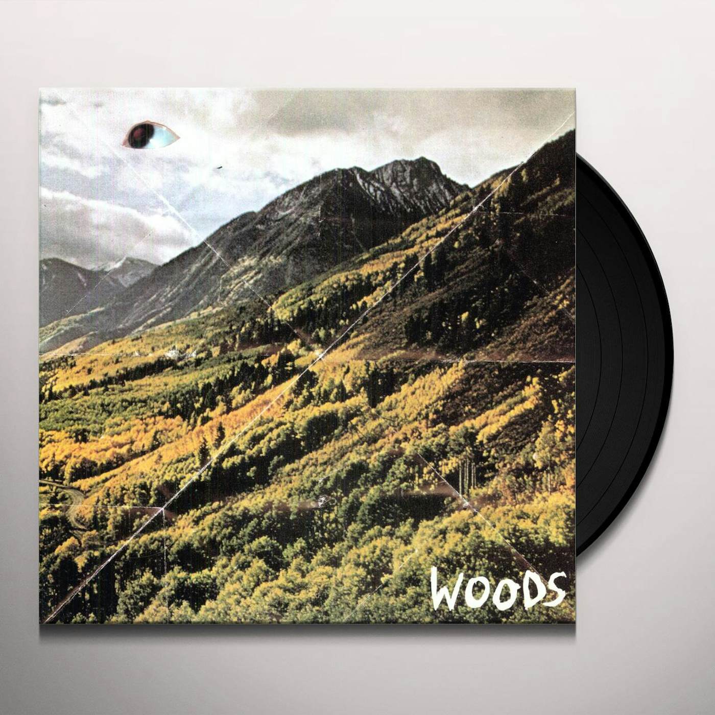 Woods Songs of Shame Vinyl Record