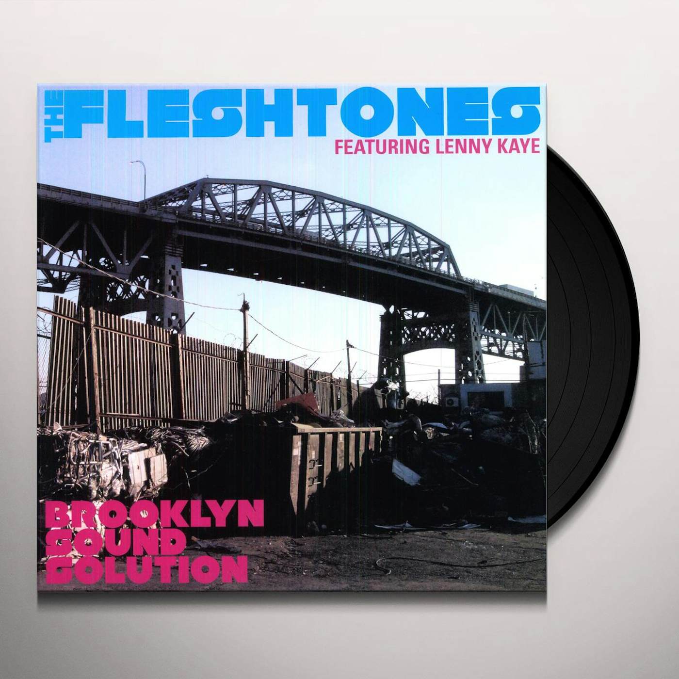 The Fleshtones Brooklyn Sound Solution Vinyl Record