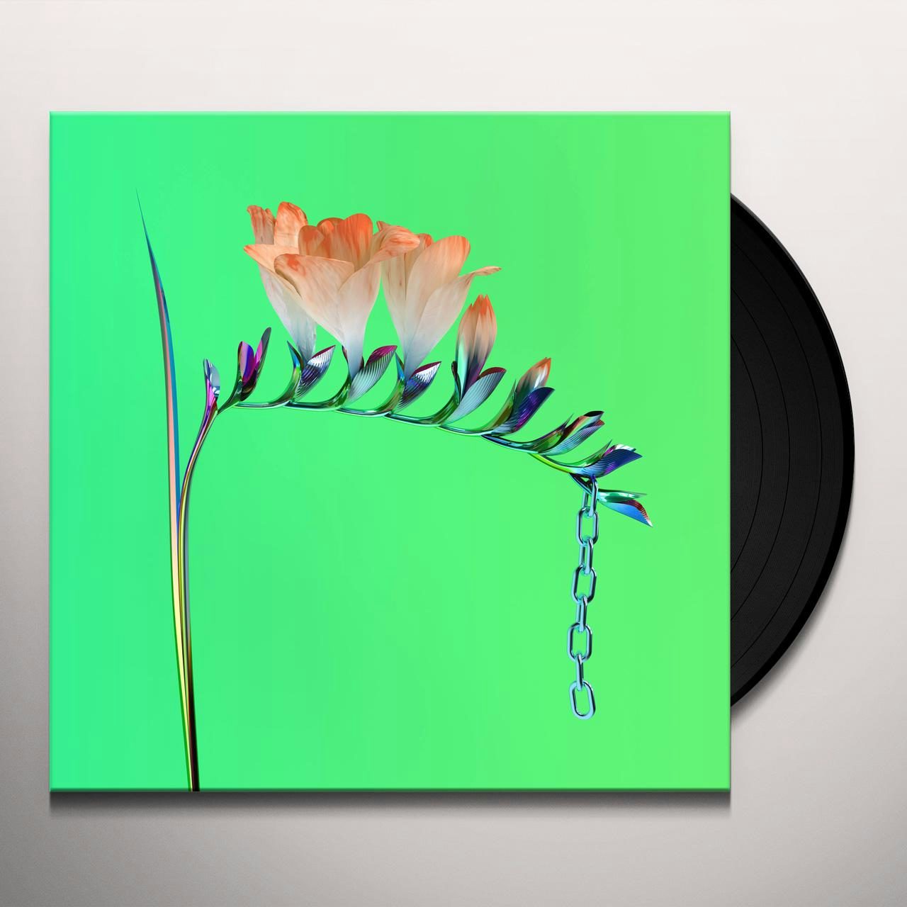 flume skin companion ep