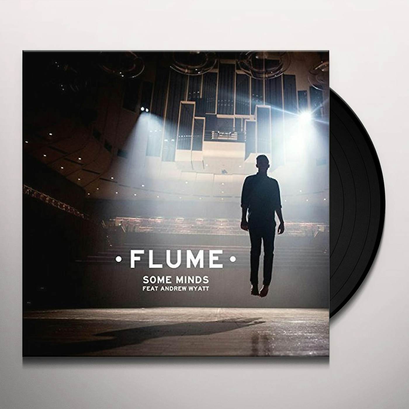 Flume Some Minds Vinyl Record