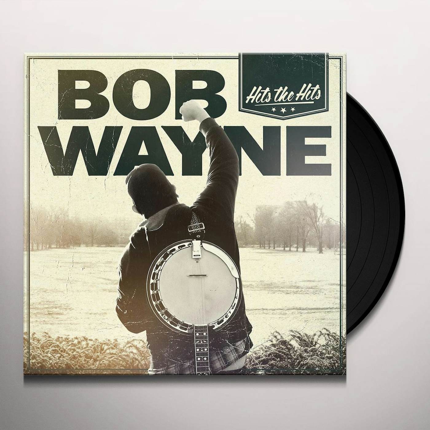 Bob Wayne Hits The Hits Vinyl Record