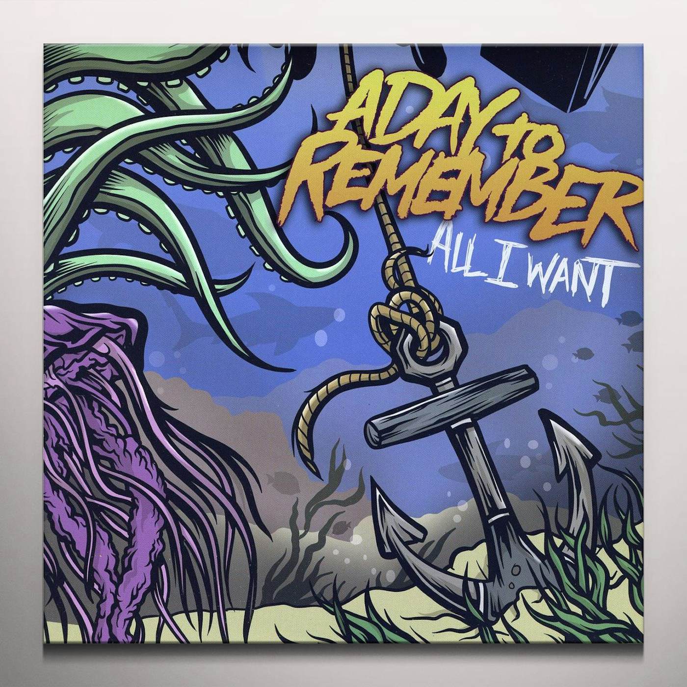 A Day To Remember All I Want Vinyl Record