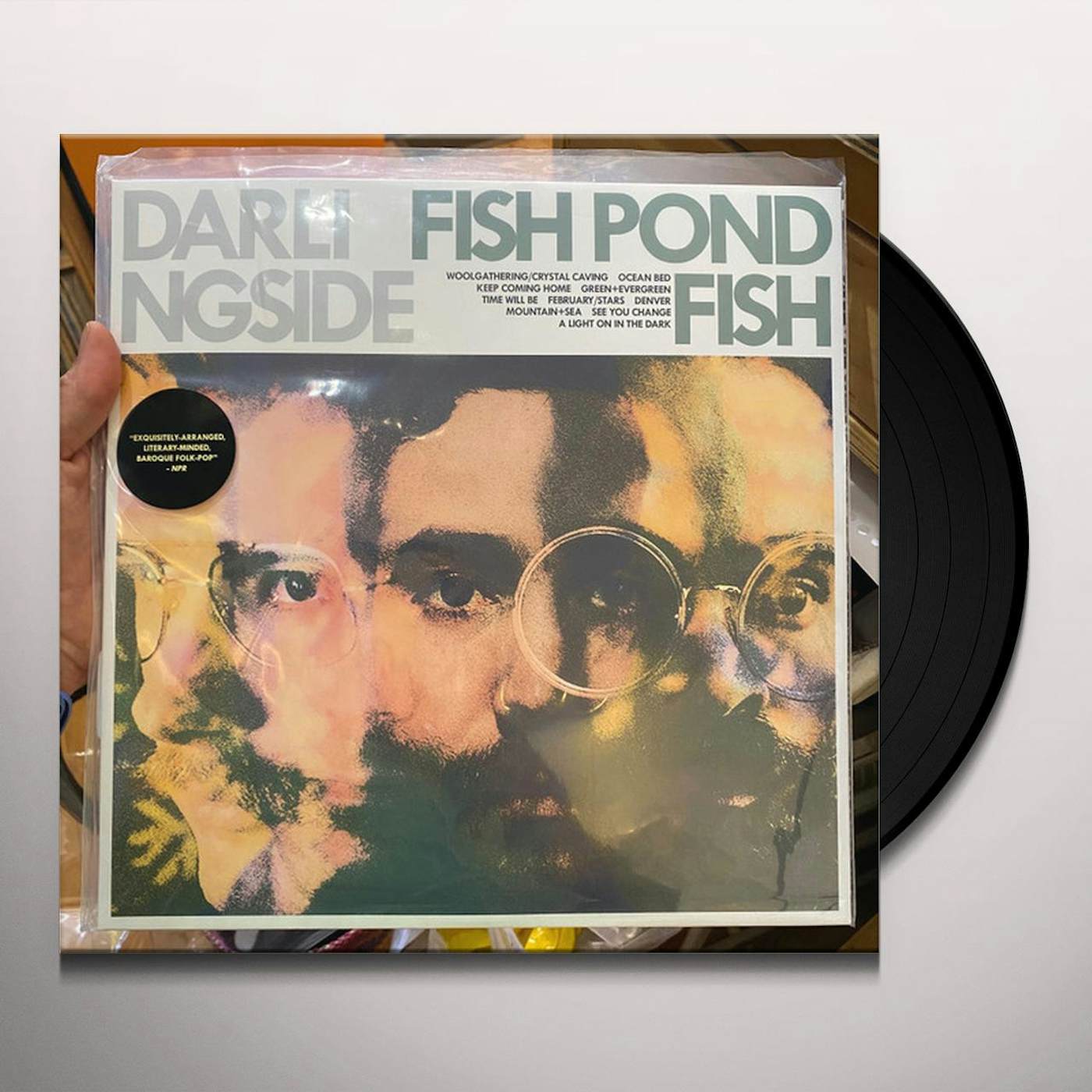 Darlingside FISH POND FISH Vinyl Record - Limited Edition