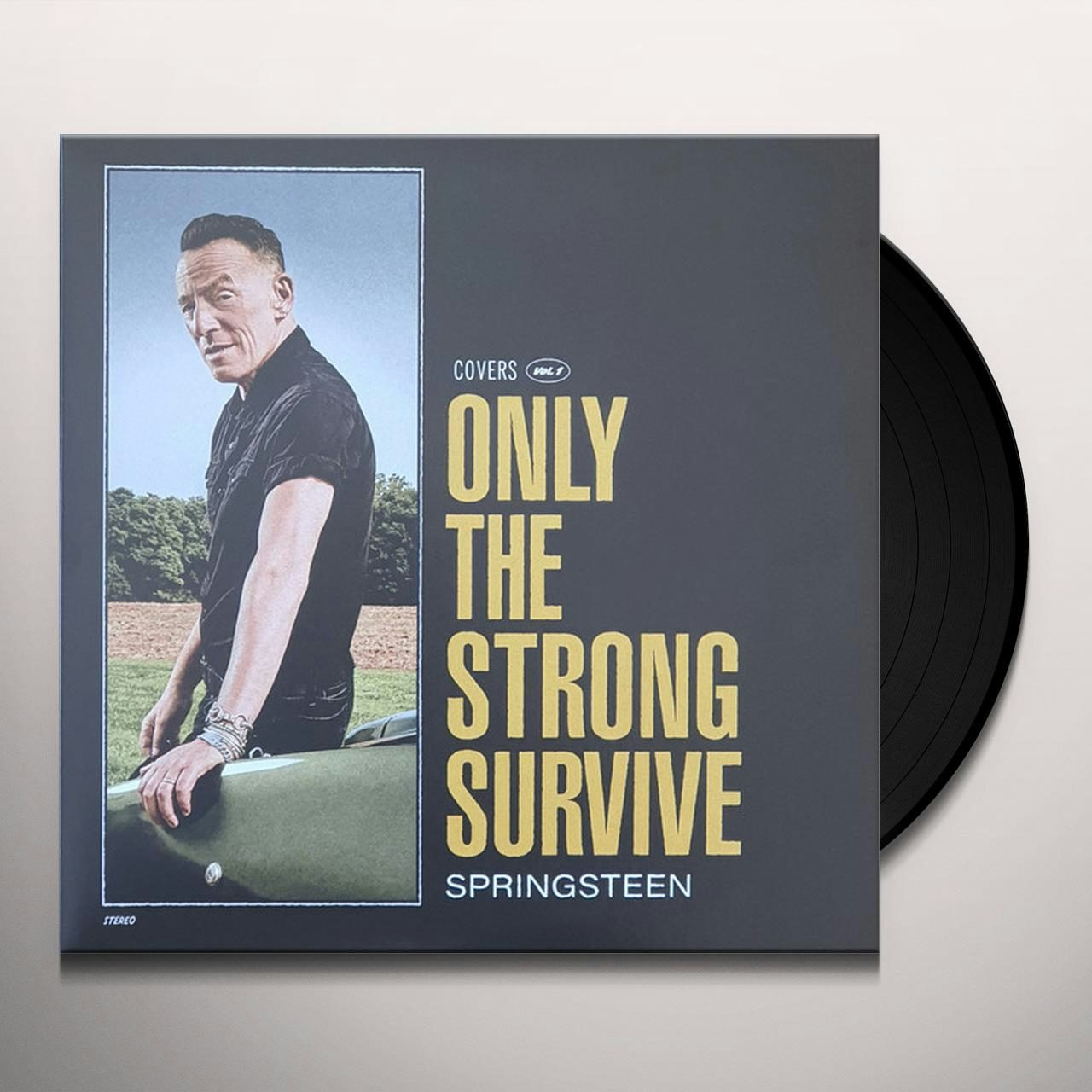 Bruce Springsteen ONLY THE STRONG SURVIVE (2LP/140G/DSIDE ETCHING
