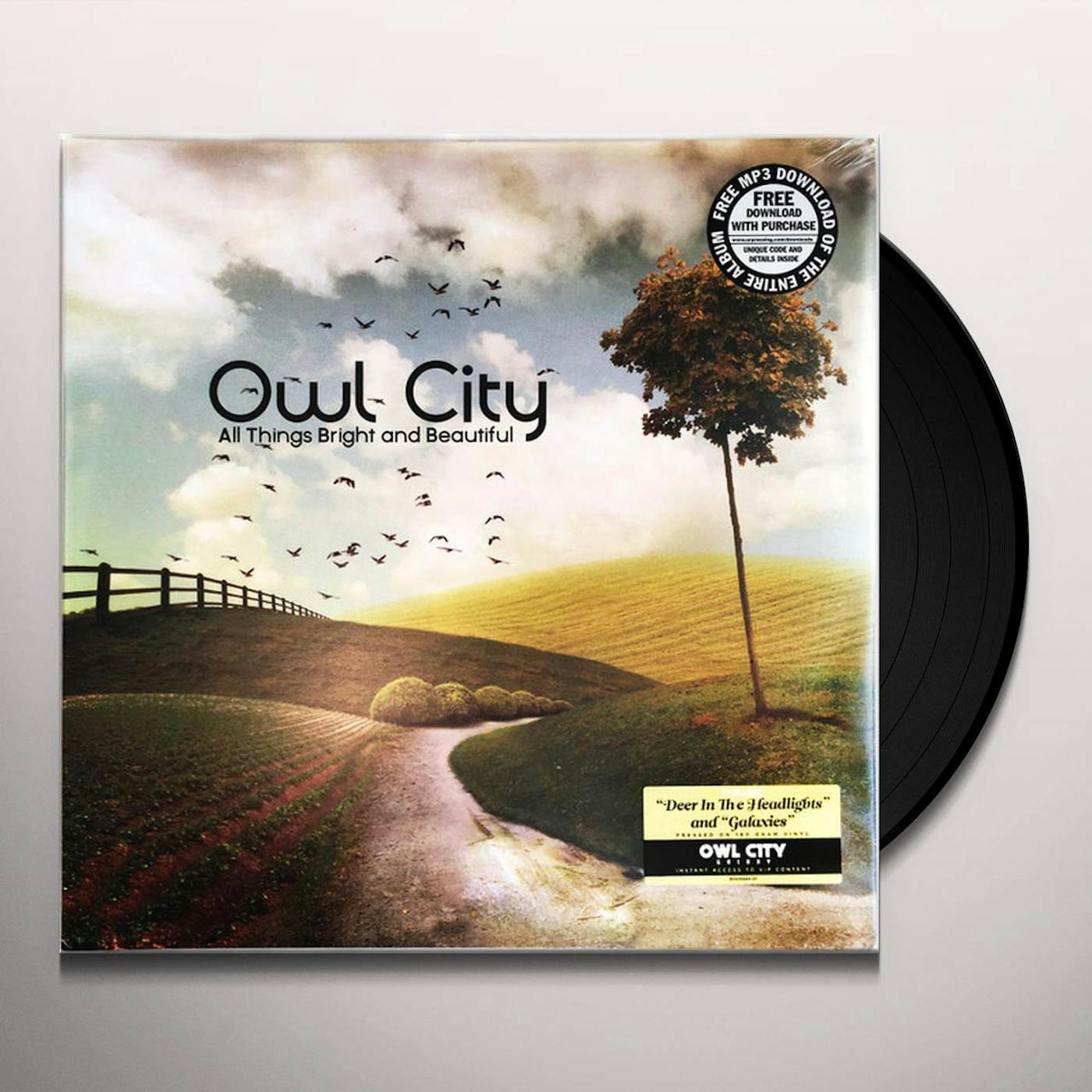 Owl City All Things Bright And Beautiful Vinyl Record