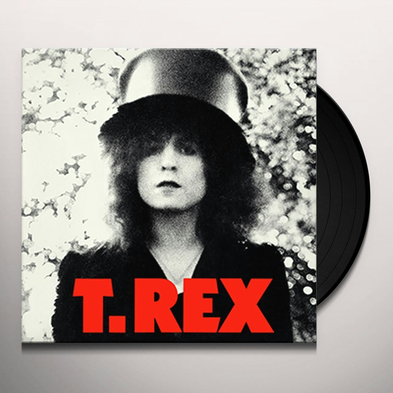 T.REX the slider UK盤ピクチャーレコード T.レックス - レコード