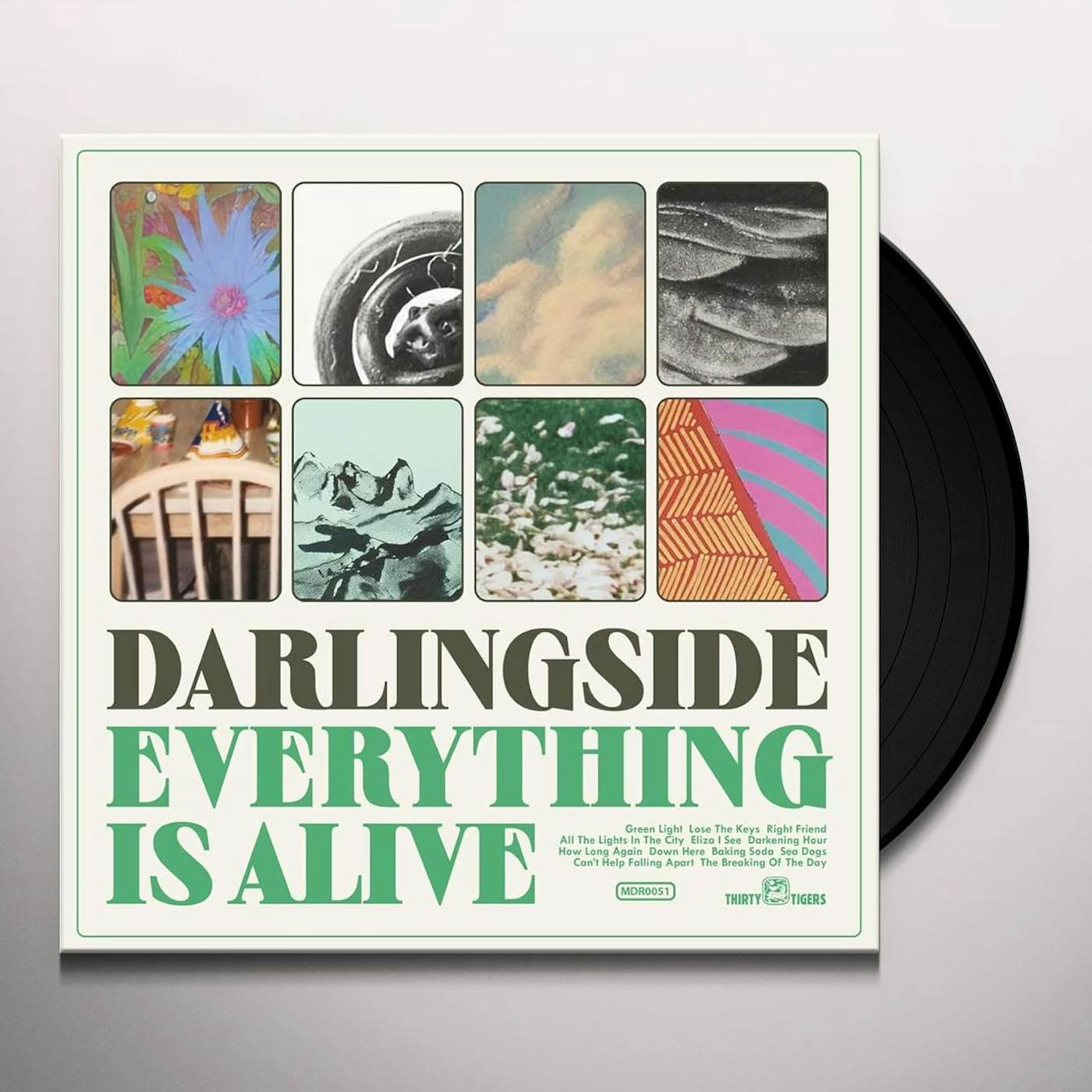Darlingside EVERYTHING IS ALIVE Vinyl Record