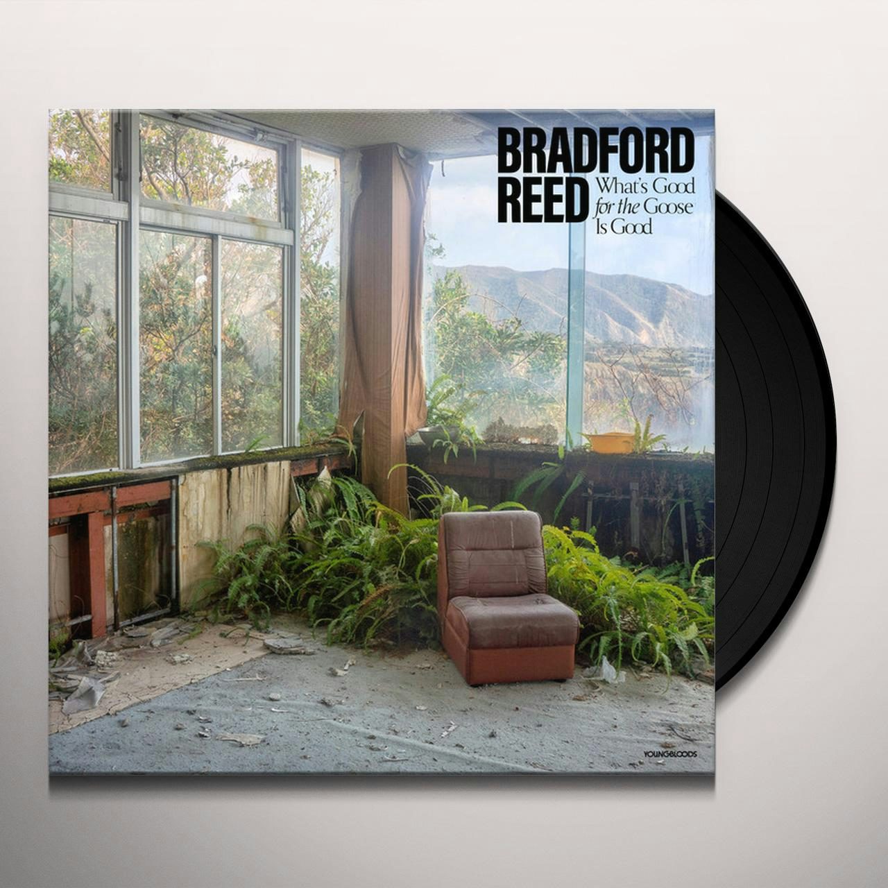Bradford Reed What's Good for the Goose Is Good Vinyl Record