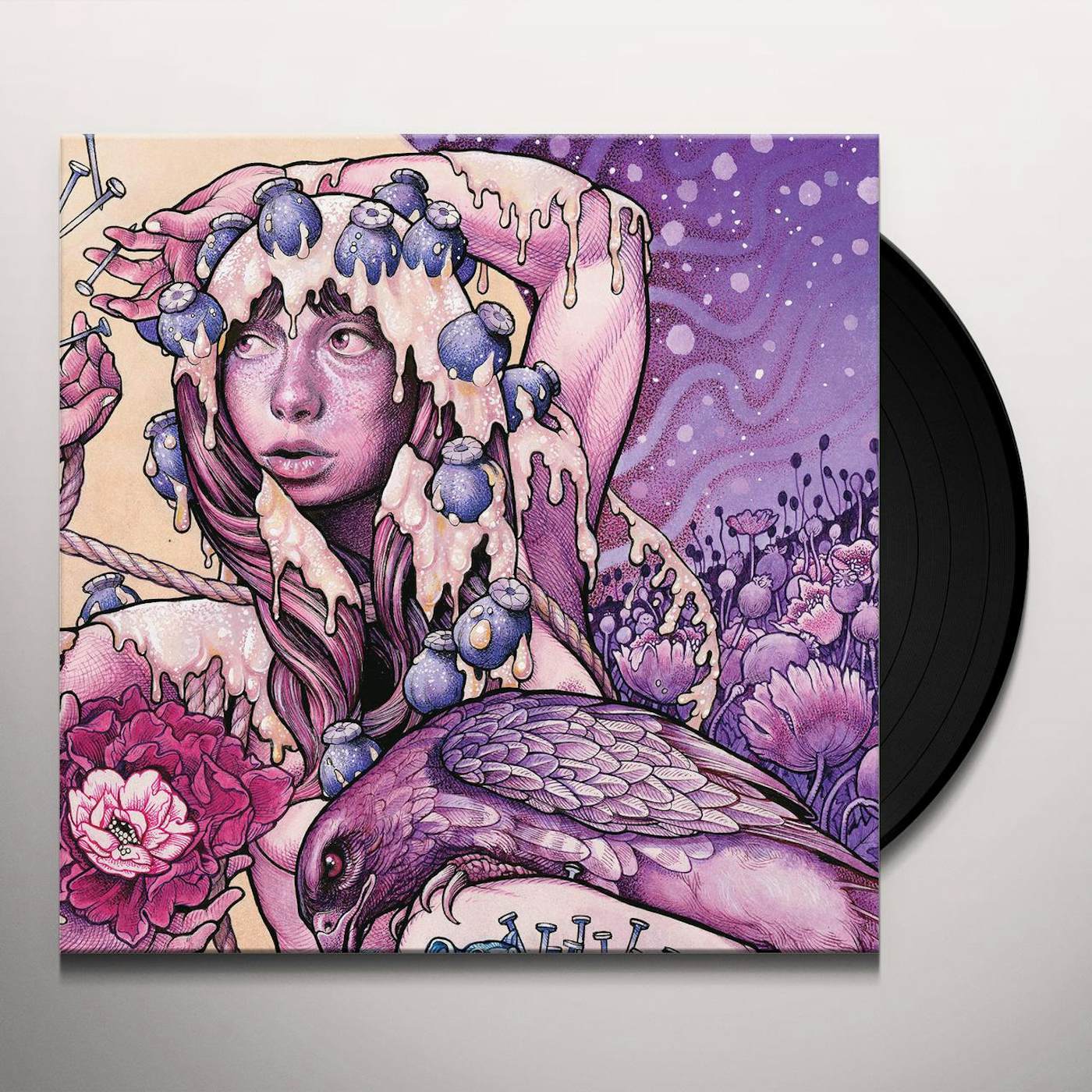 Baroness TRY TO DISAPPEAR Vinyl Record