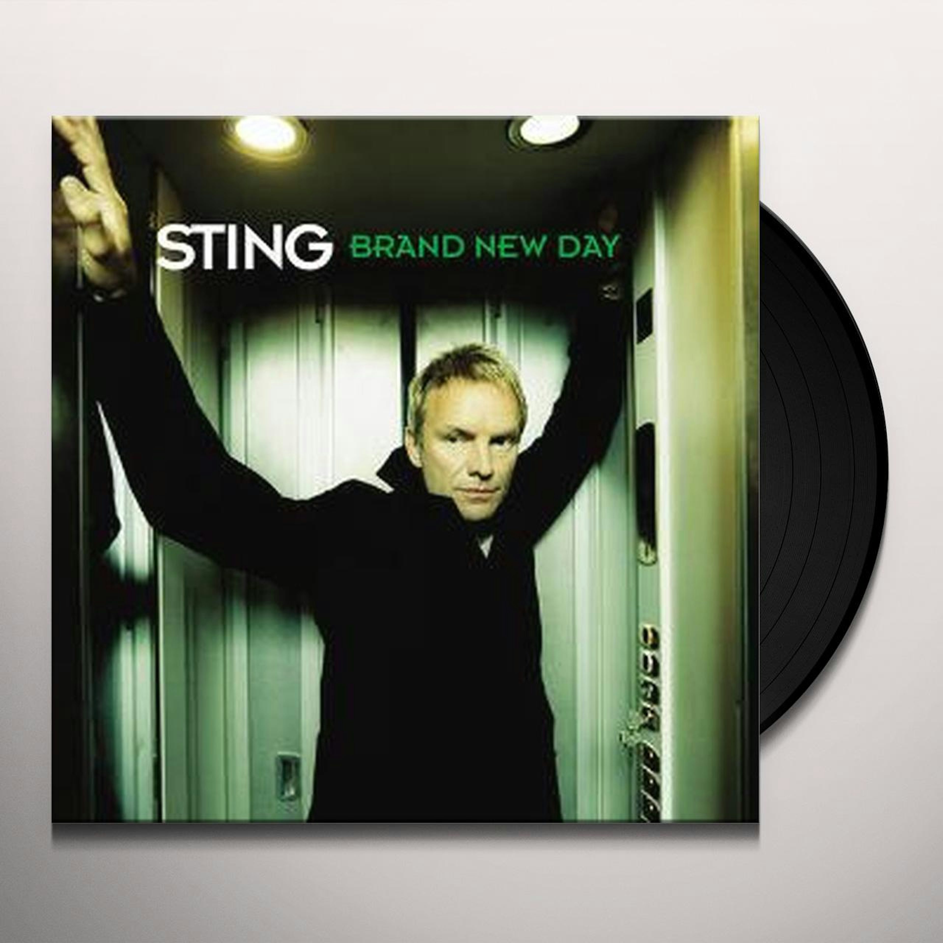 sting brand new day vinyl