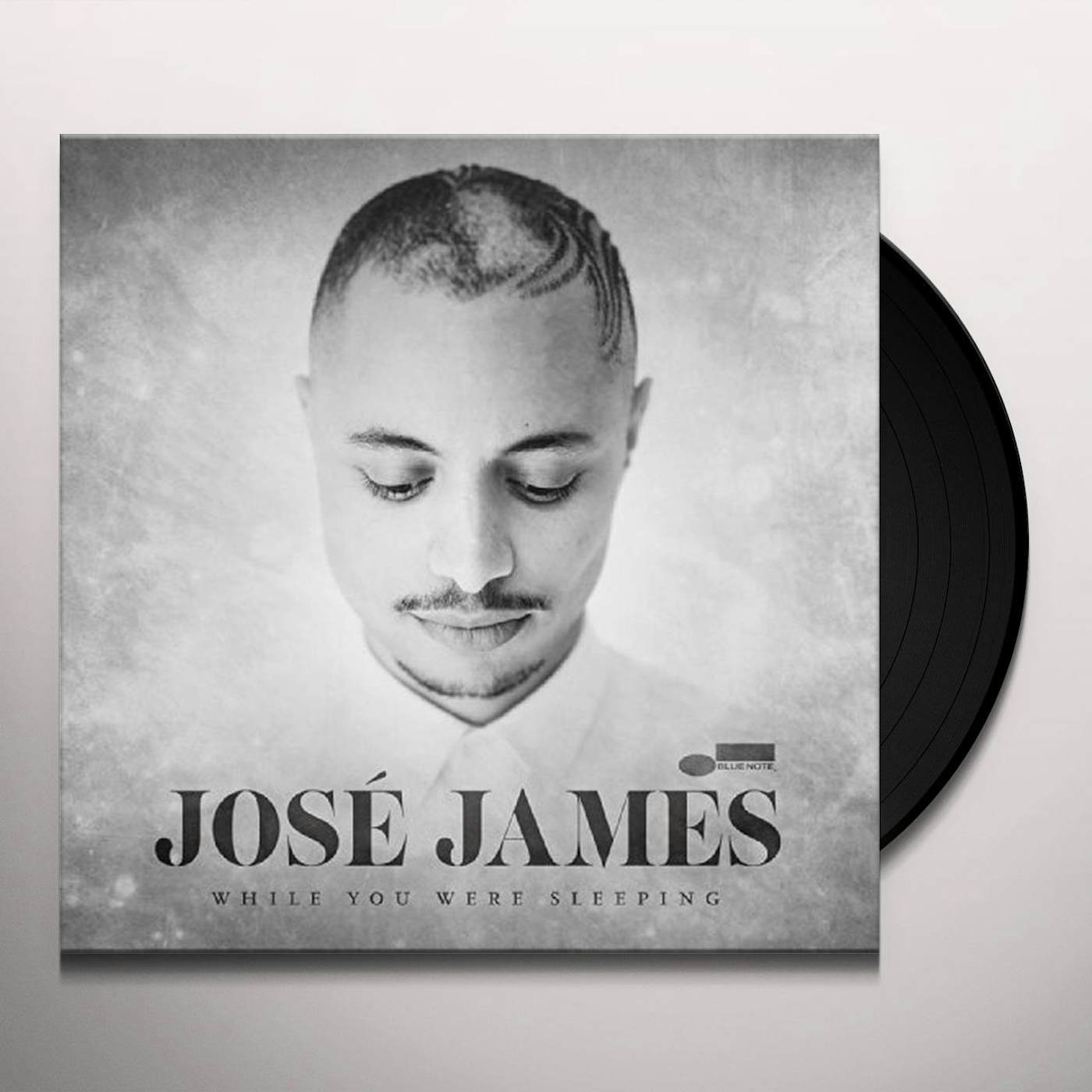 Jose James While You Were... Vinyl Record