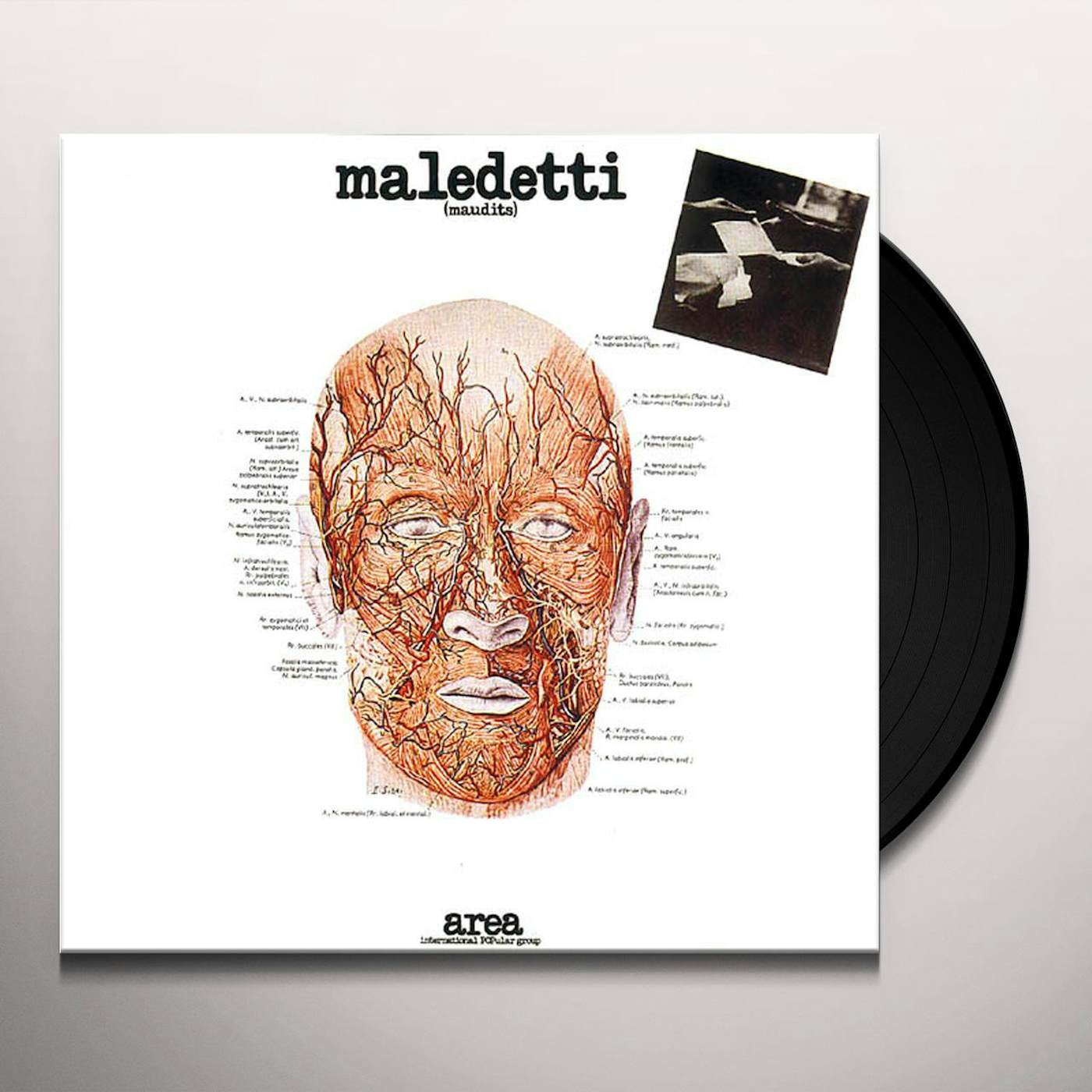Area Maledetti Vinyl Record