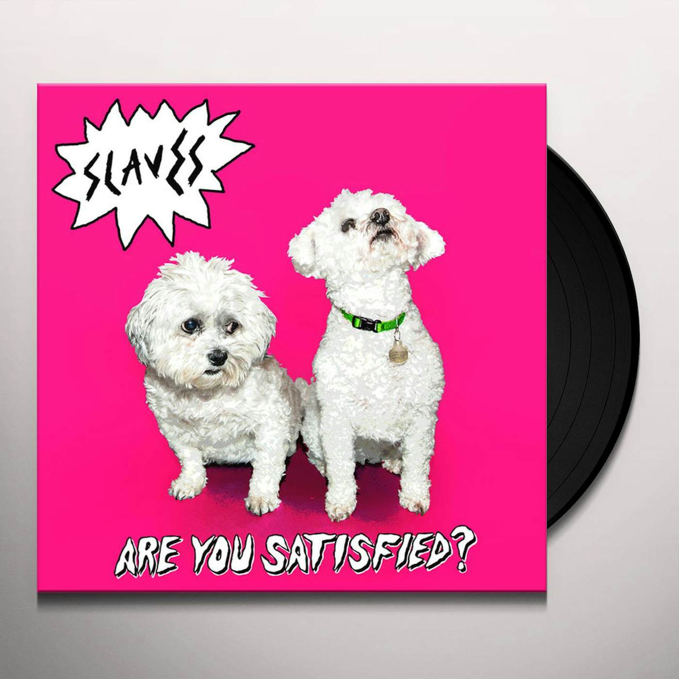 Slaves ARE YOU SATISFIED Vinyl Record