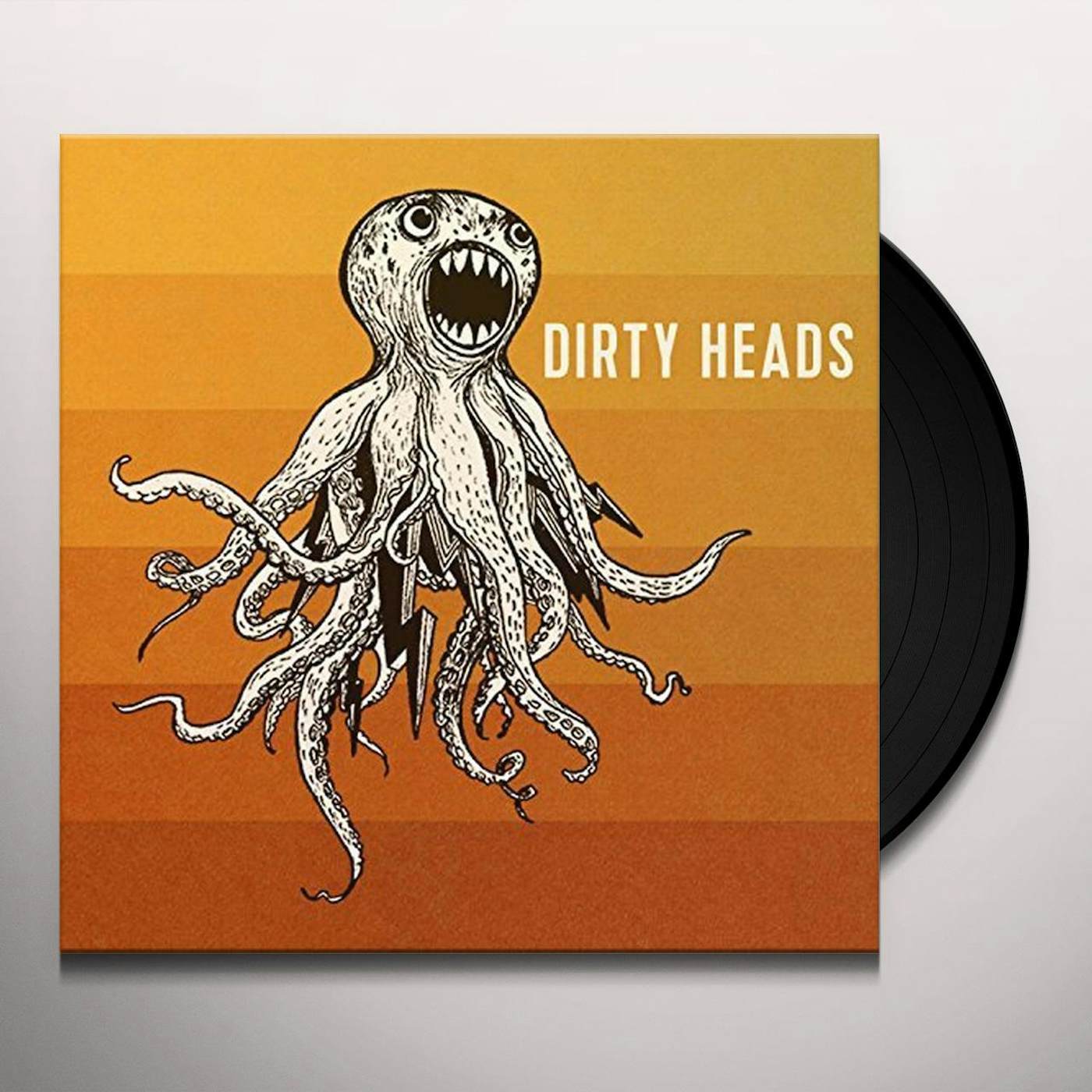 Dirty Heads Vinyl Record