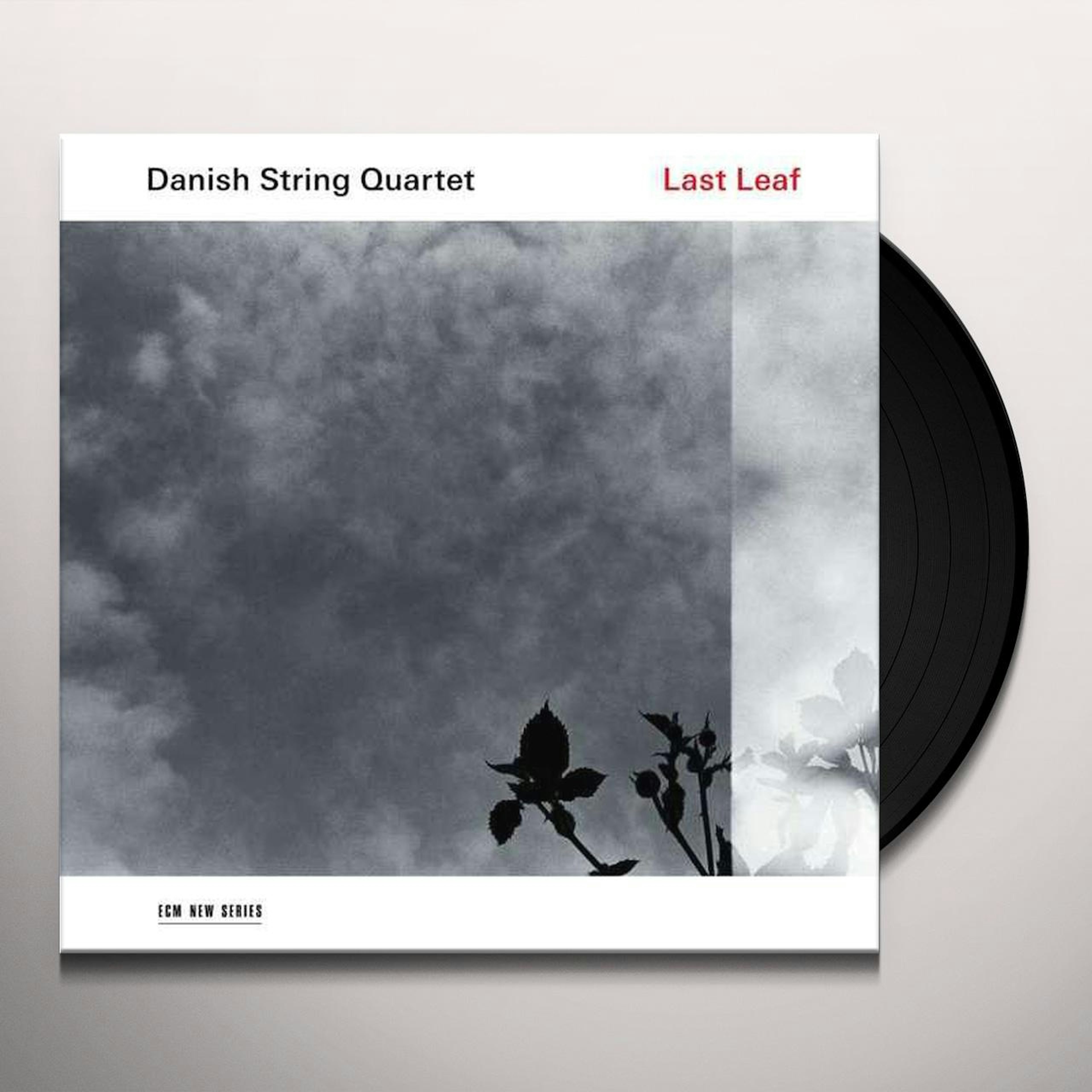 spejl vandtæt bandage Danish String Quartet LAST LEAF Vinyl Record