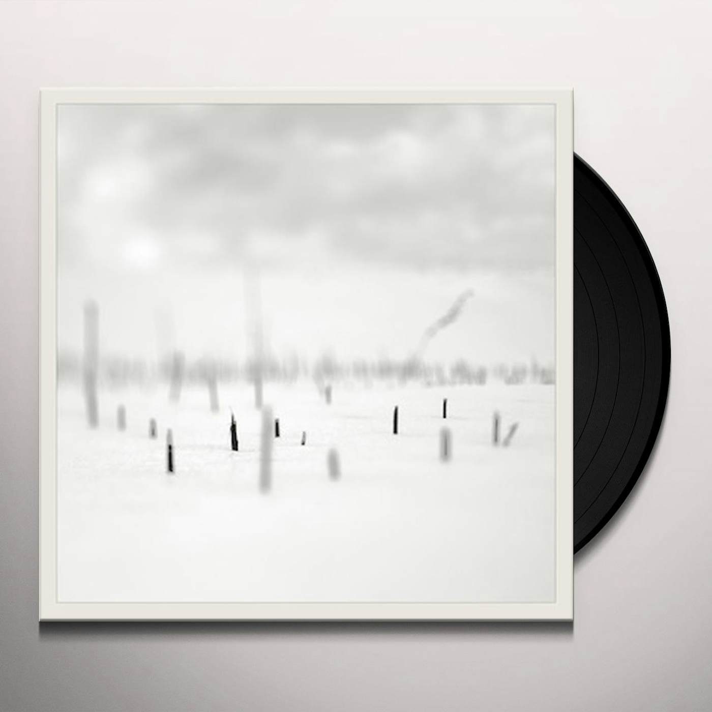 Taylor Deupree In A Place Of Such Graceful Shapes Vinyl Record