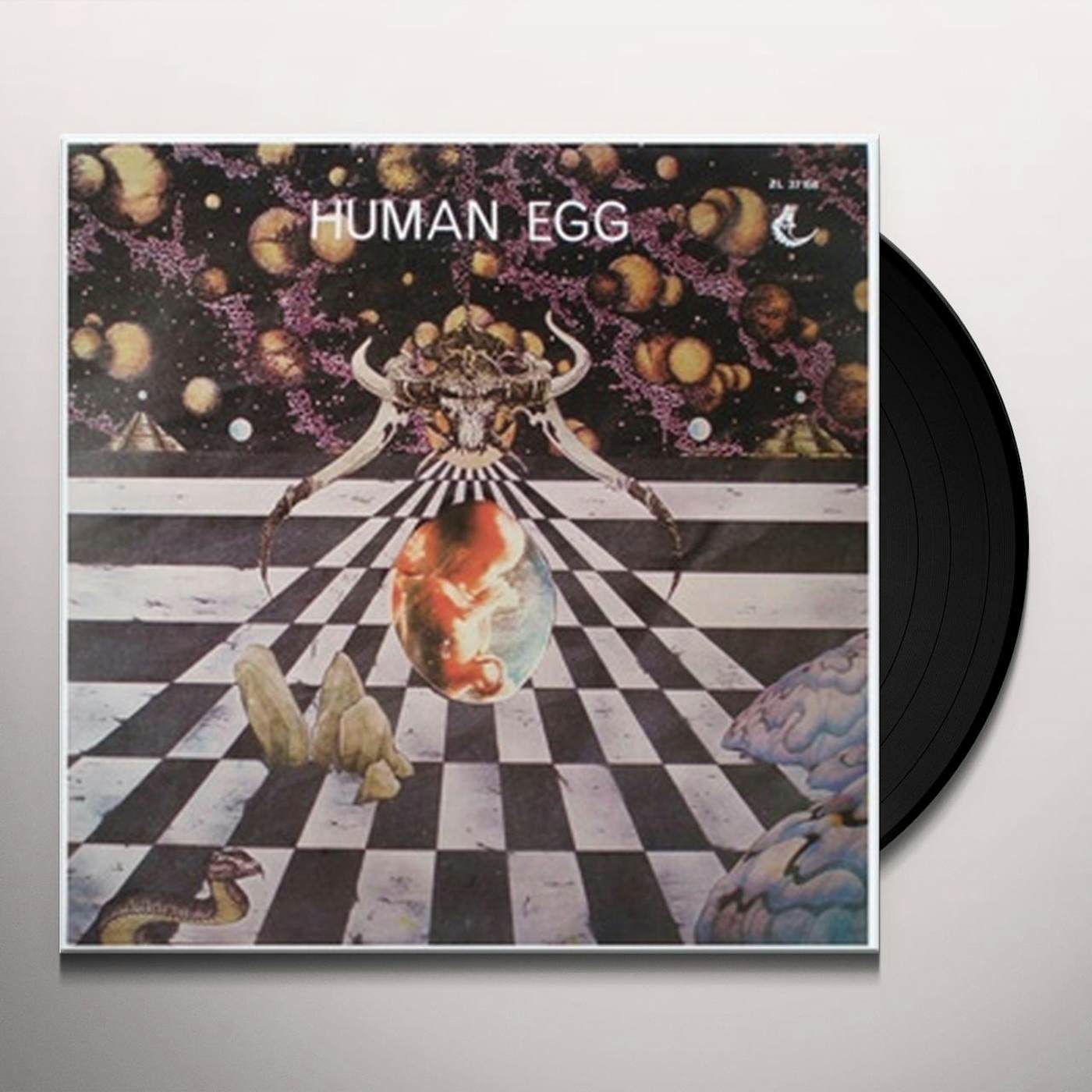 Human Egg Vinyl Record