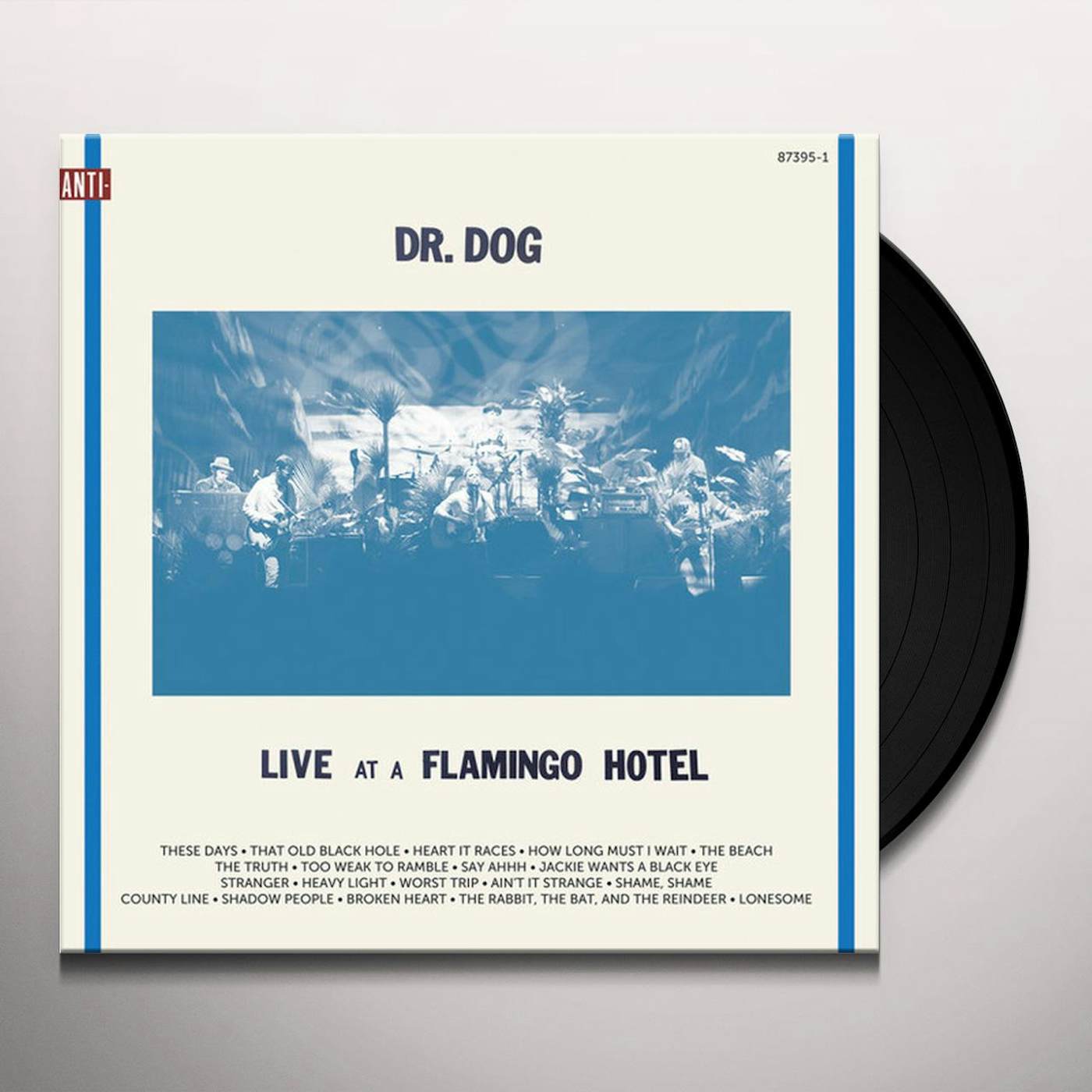 Dr. Dog Live at a Flamingo Hotel Vinyl Record