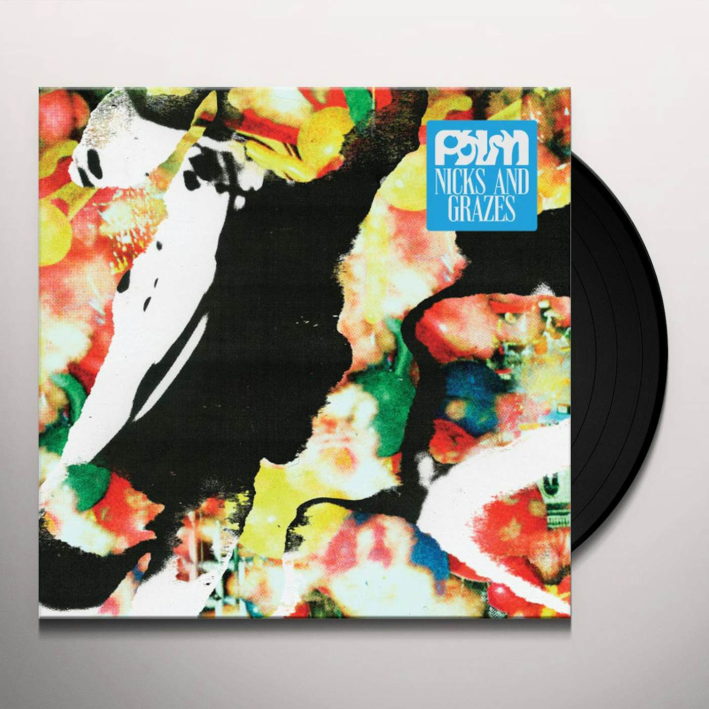 Palm Nicks and Grazes Vinyl Record