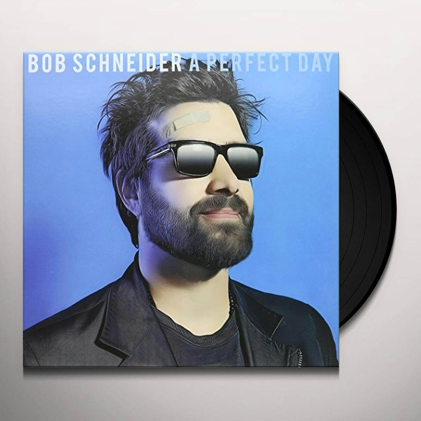 Bob Schneider PERFECT DAY Vinyl Record