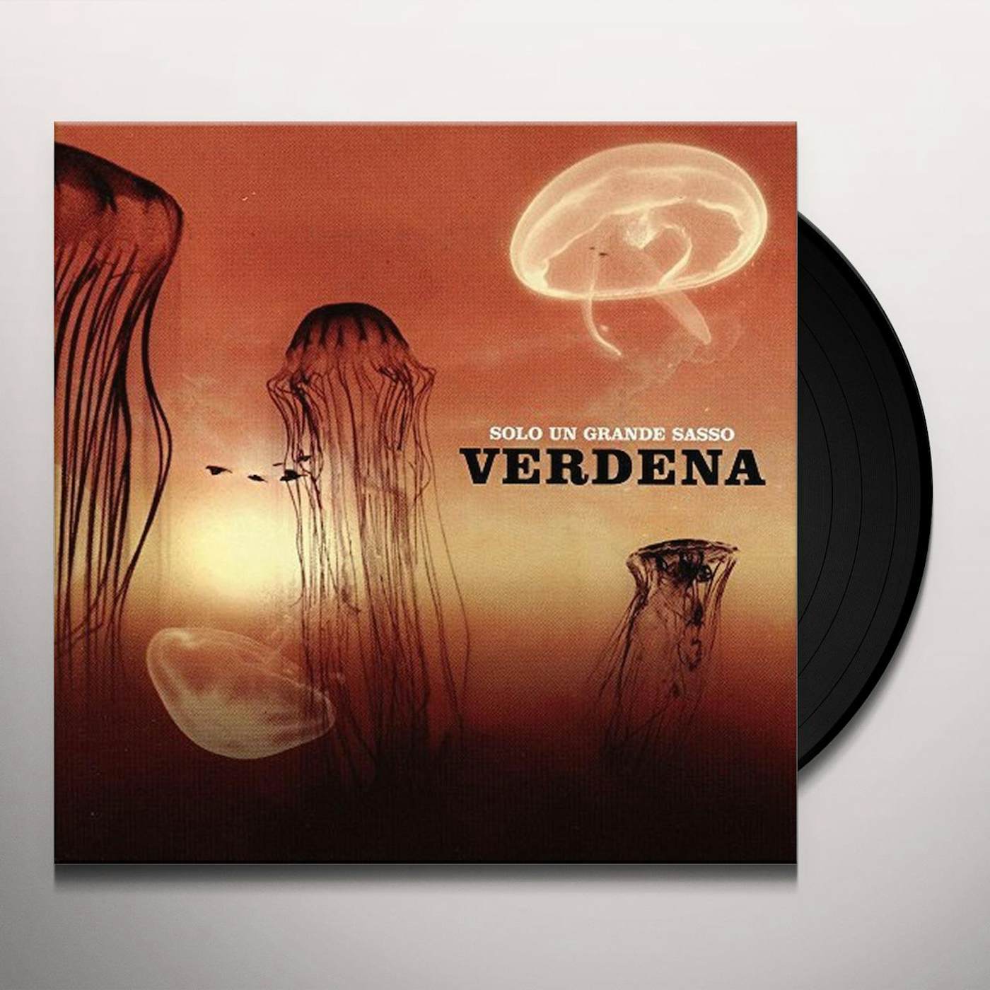 Verdena Solo un grande sasso Vinyl Record