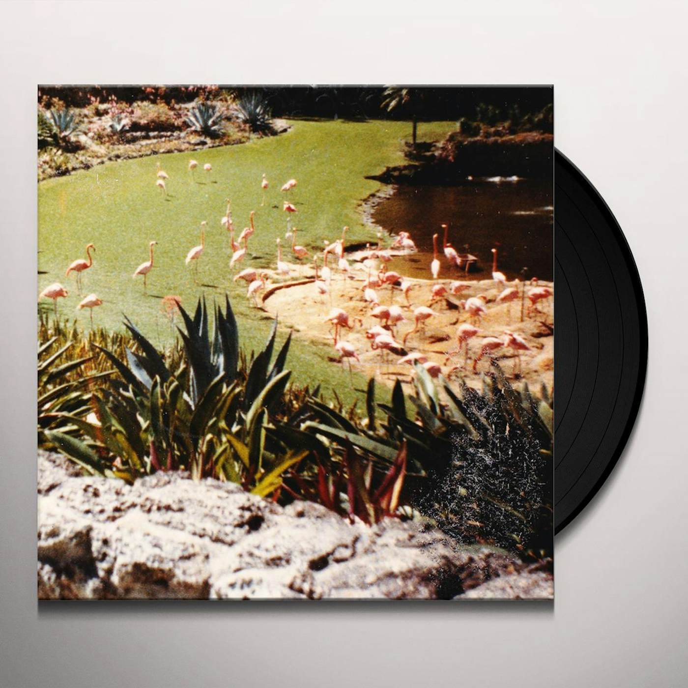 Imaginary Softwoods Gold Fiction Loop Garden Vinyl Record