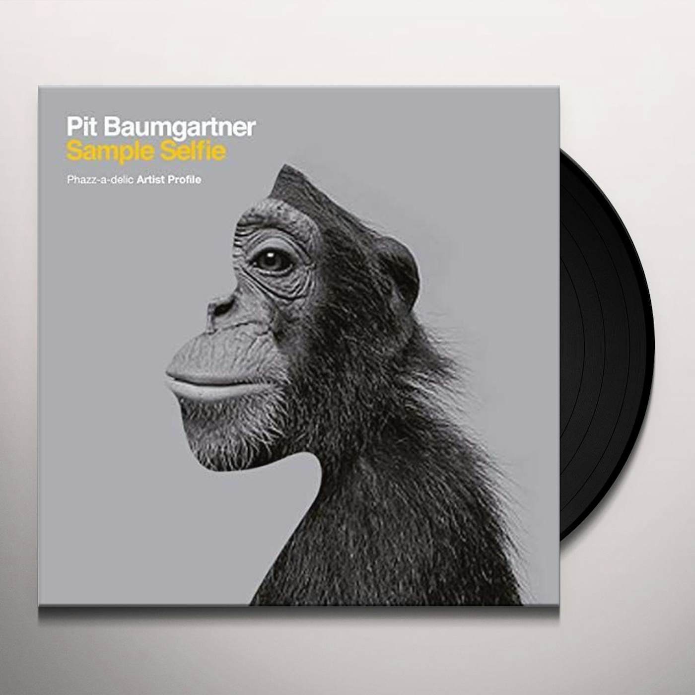 Pit Baumgartner Sample Selfie Vinyl Record