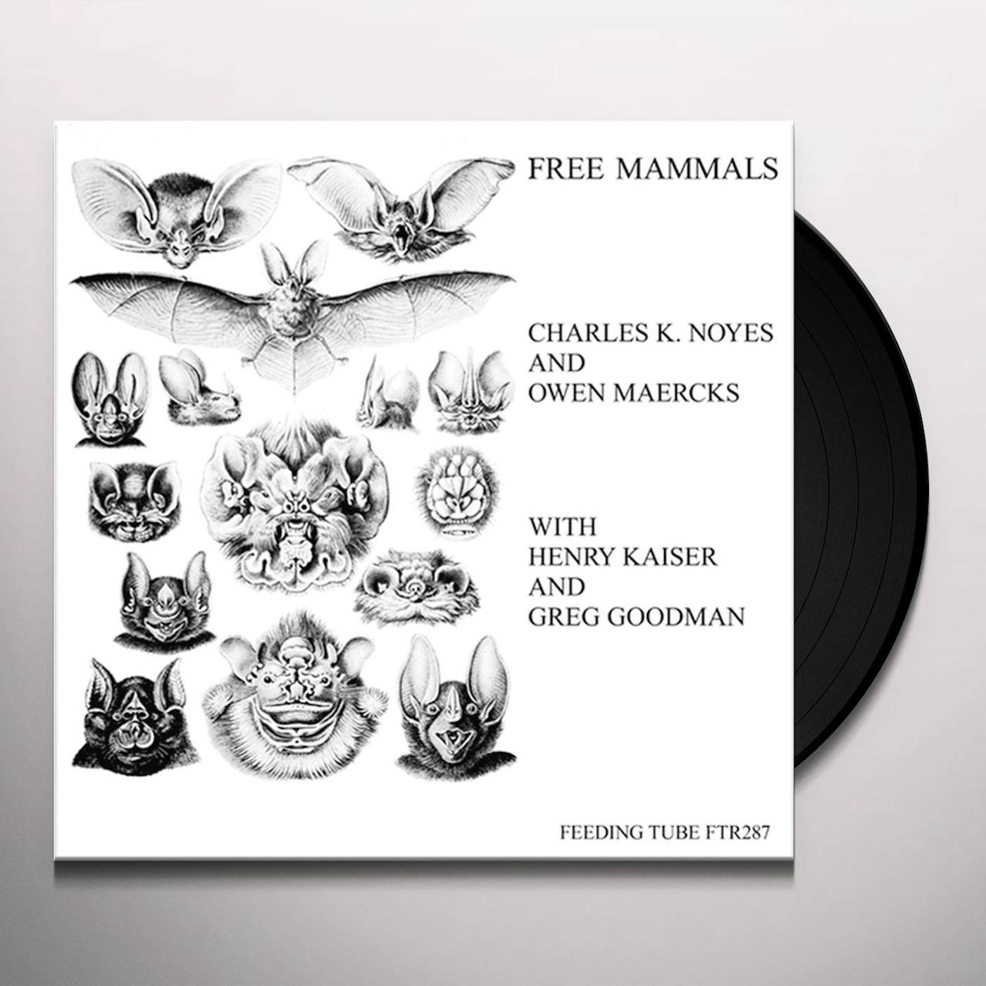 Charles K Noyes / Owen Maercks / Henry Kaiser Free Mammals Vinyl Record