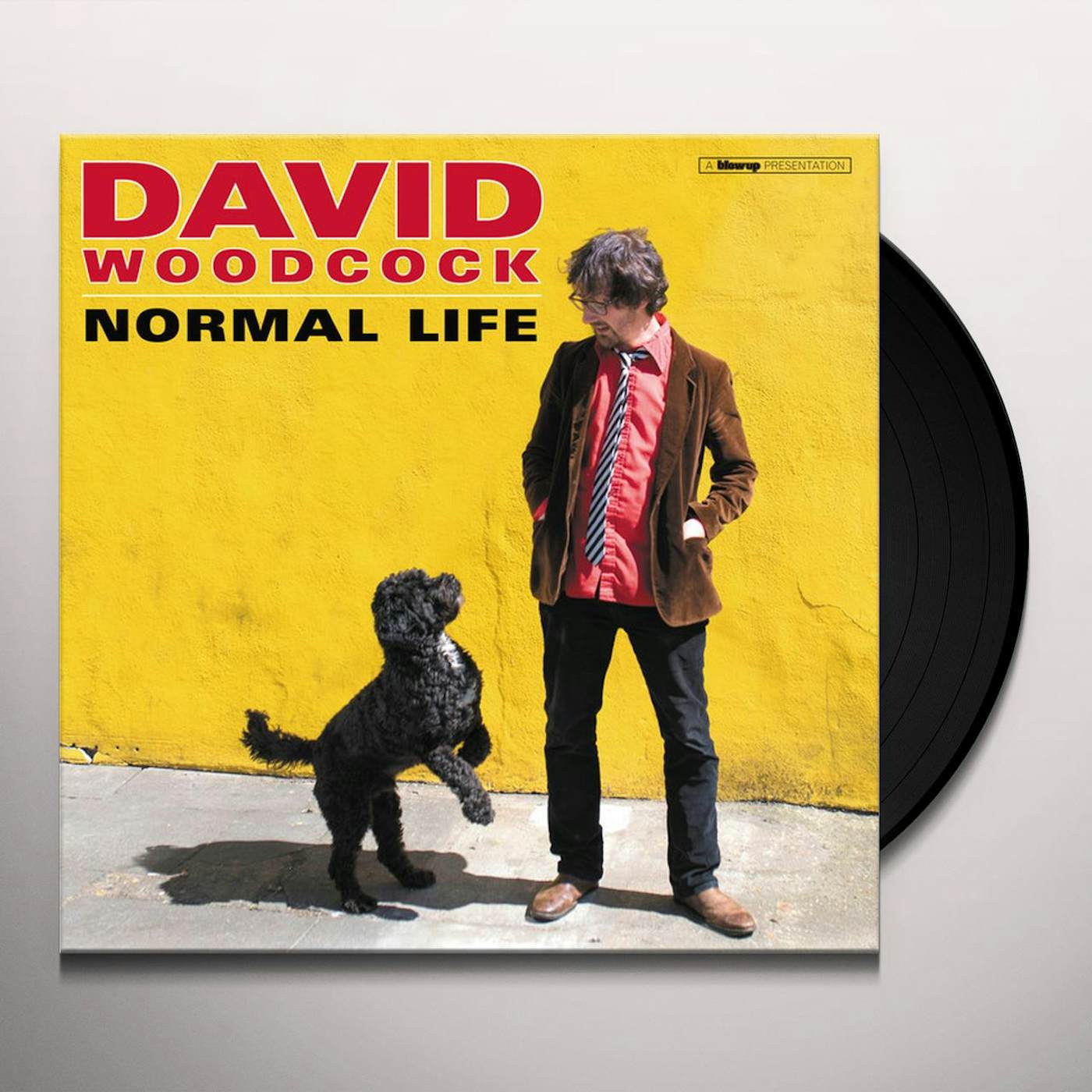 David Woodcock NORMAL LIFE (180G/DL CARD) Vinyl Record