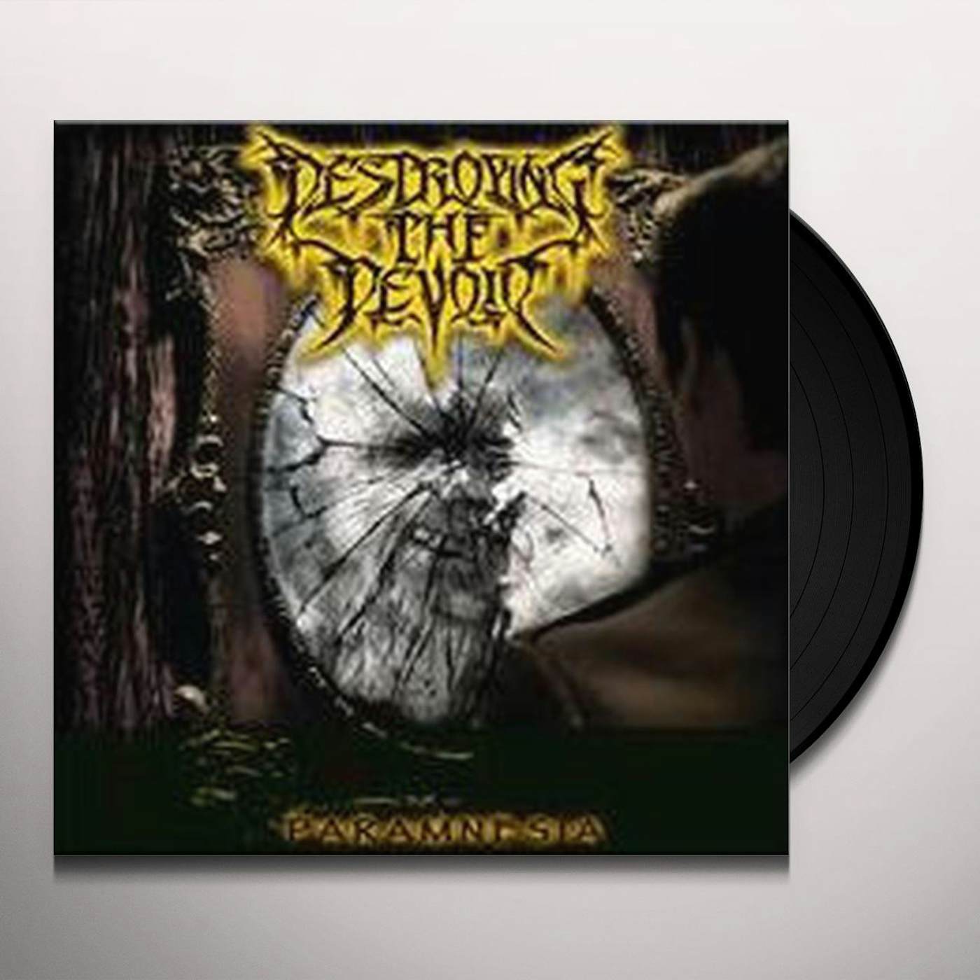 Destroying the Devoid Paramnesia Vinyl Record
